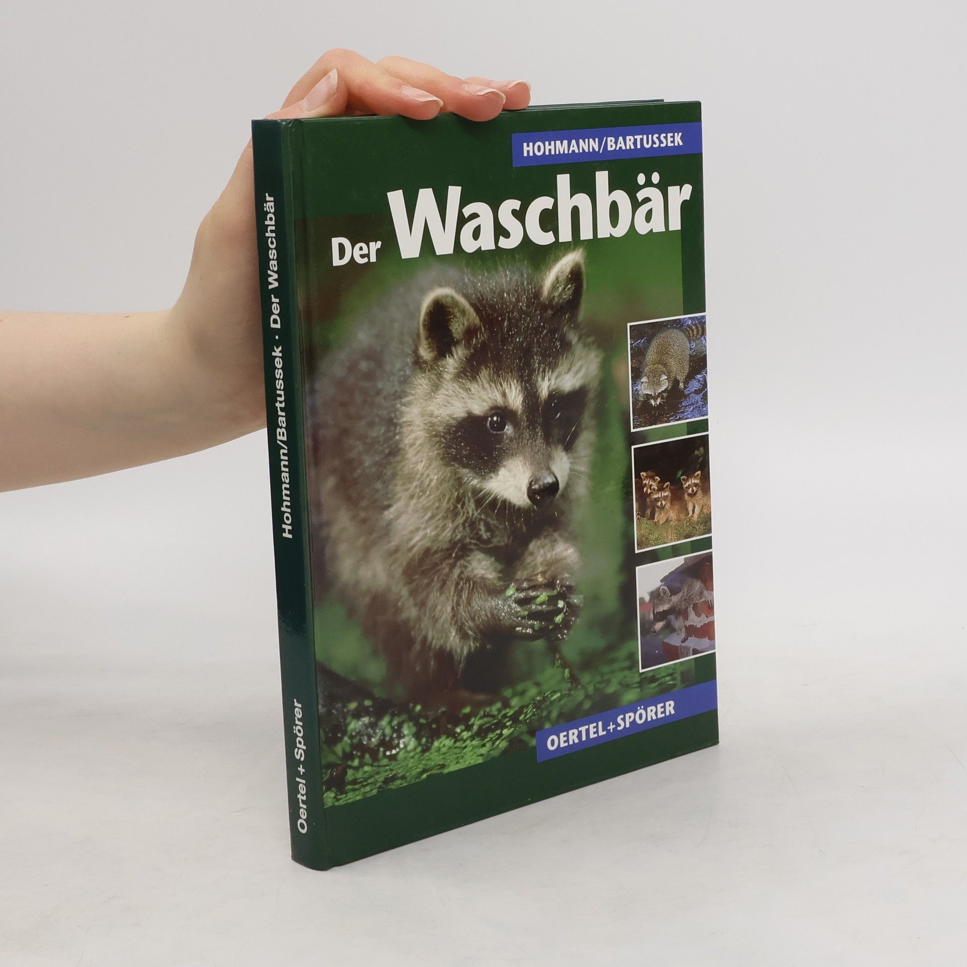Ulf Hohmann Der Waschbär
