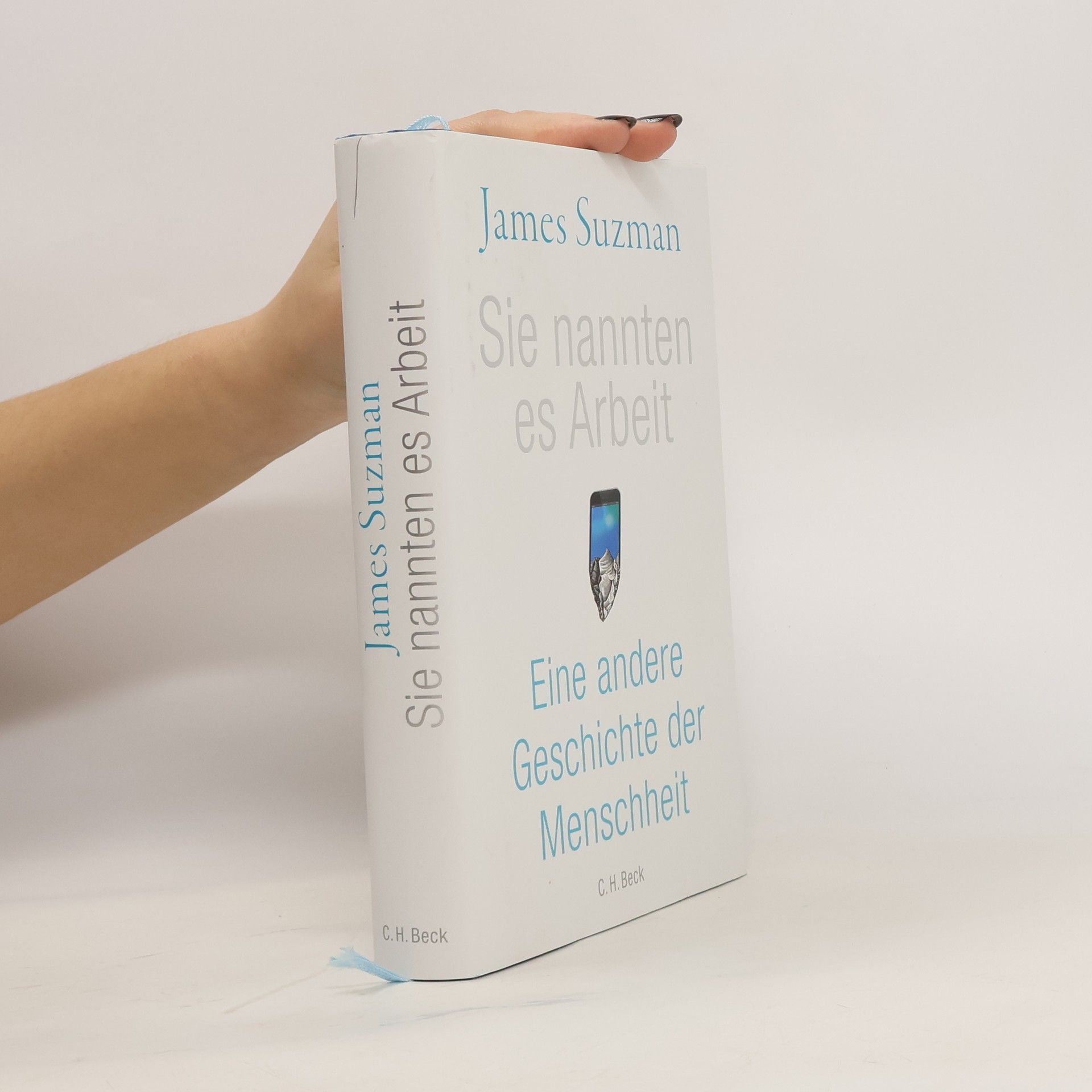 James Suzman Sie nannten es Arbeit