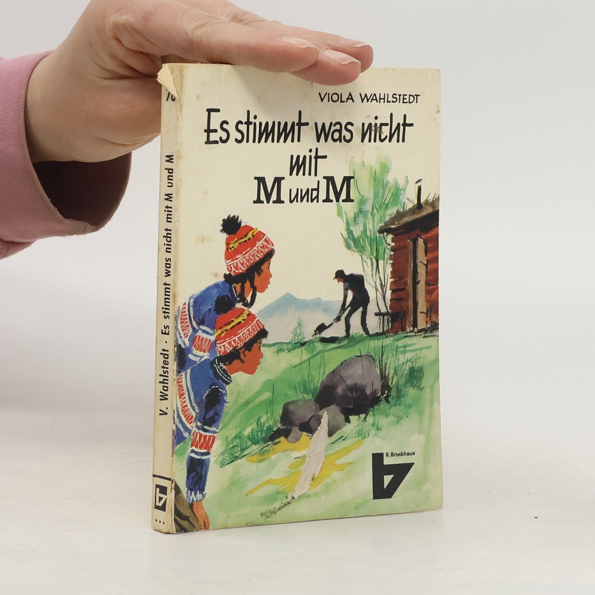 Viola Wahlstedt Es stimmt was nicht mit M und M