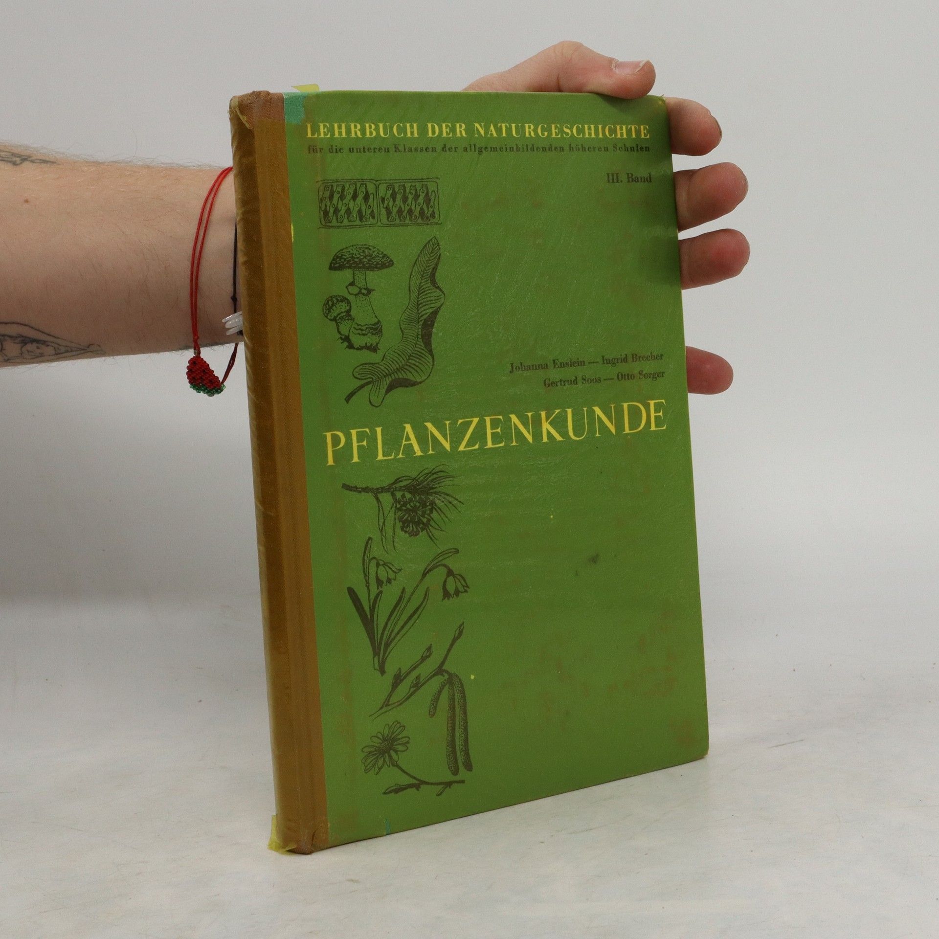 Autorenkollektiv Pflanzenkunde
