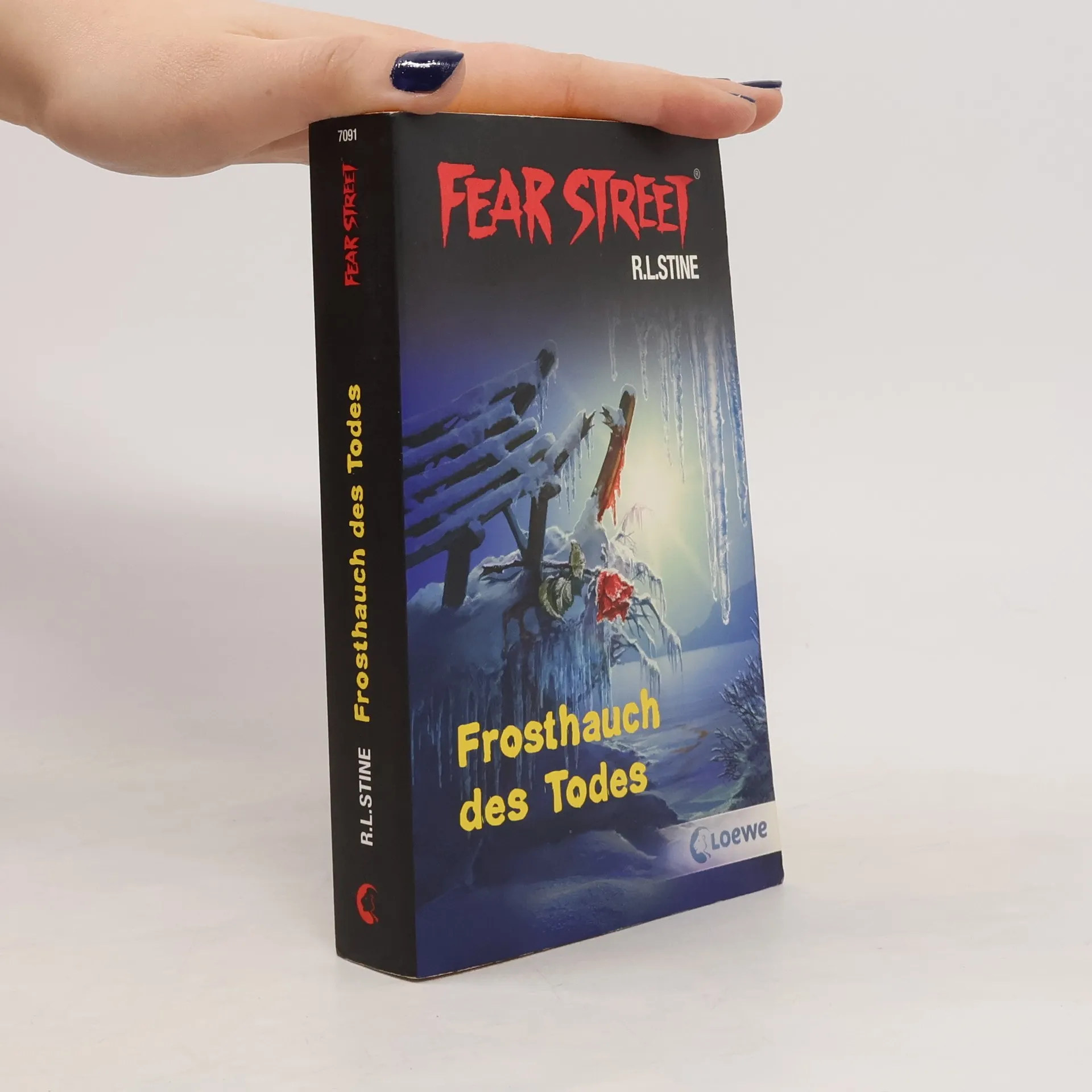 Fear Street | Buch | R. L. Stine