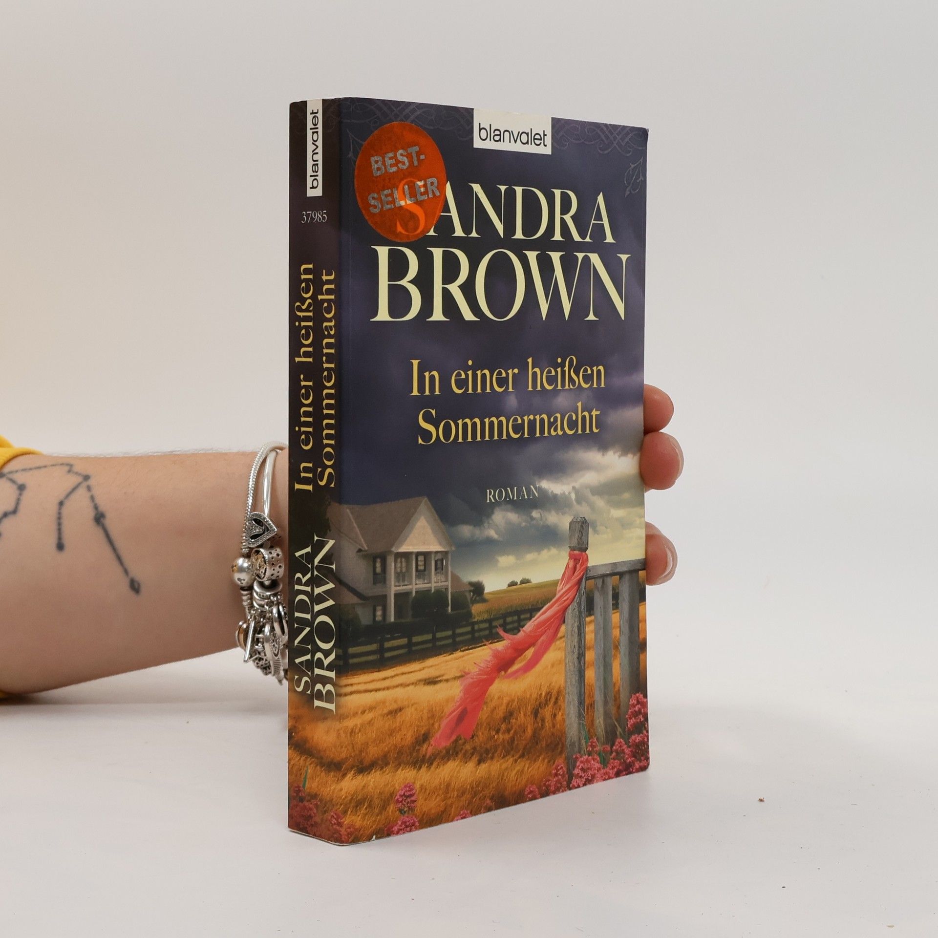Sandra Brown In einer heißen Sommernacht