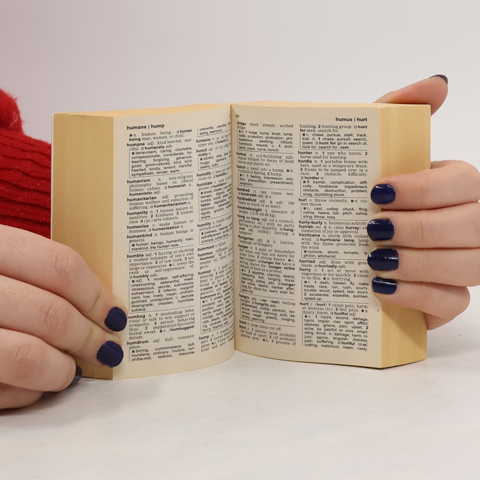 Autorenkollektiv Dictionary & Thesaurus