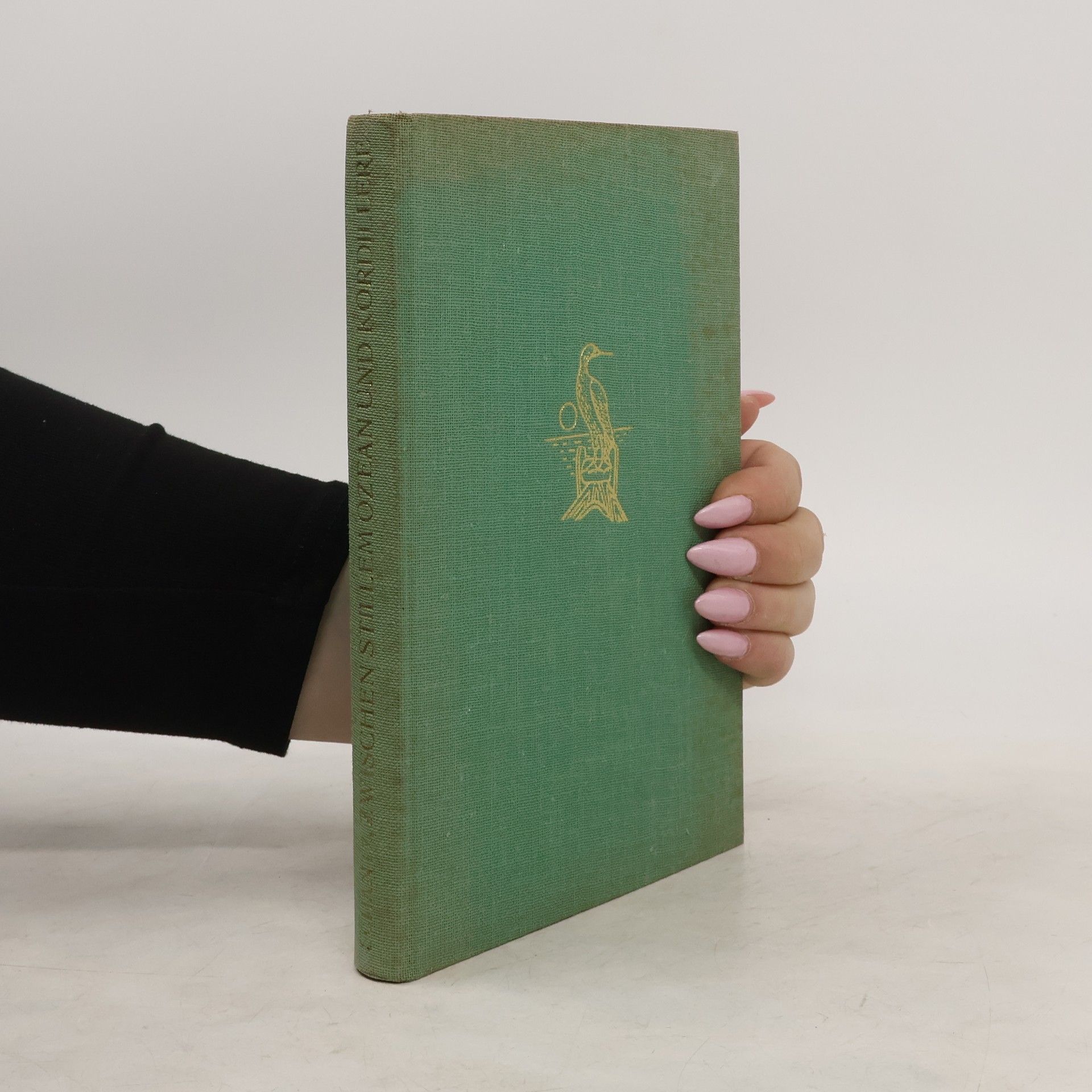 Reinhard Schantz Zwischen Stillem Ozean und Kordillere