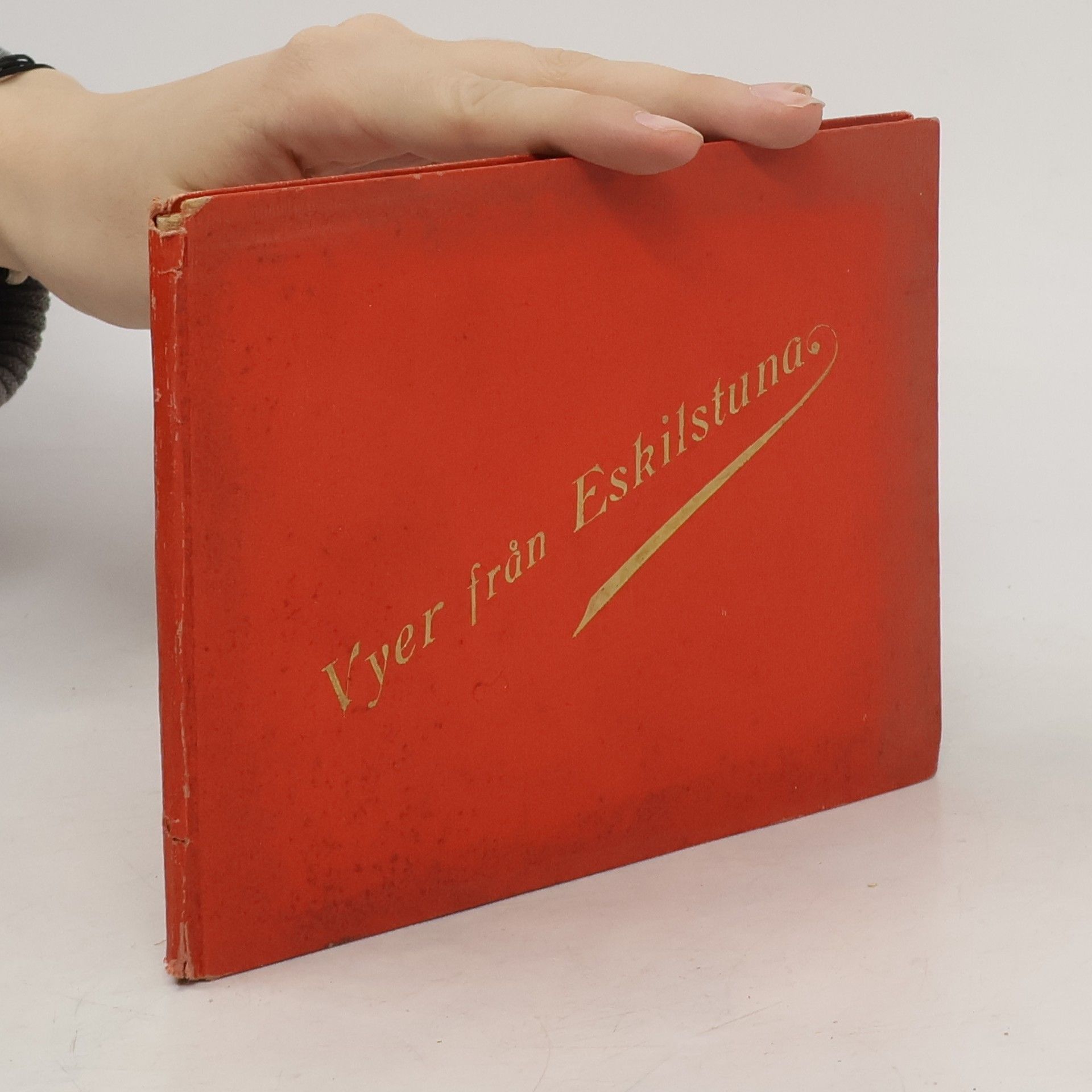 Collectif d'auteurs Vyer från Eskilstuna