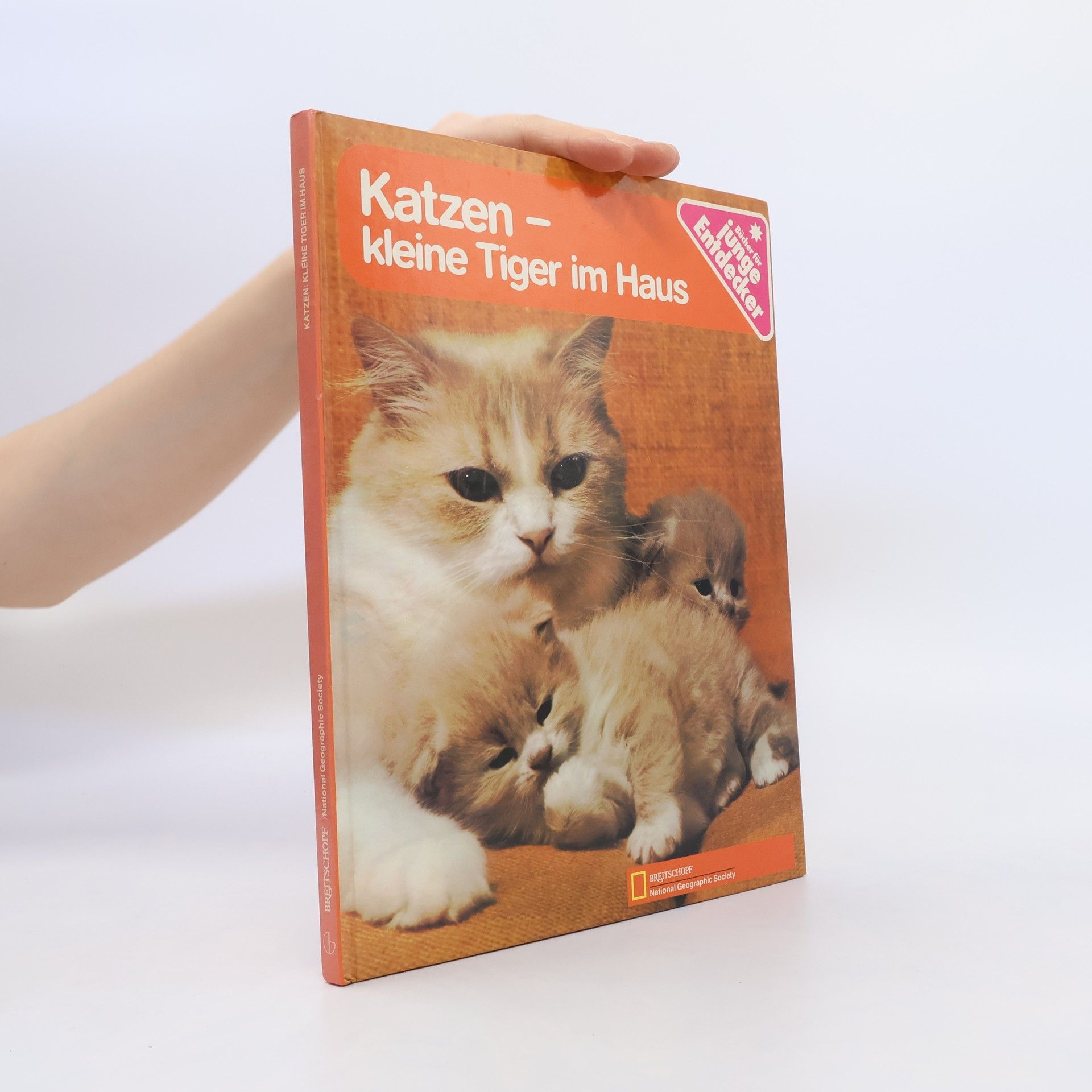 Autorenkollektiv Katzen. Kleine Tiger im Haus