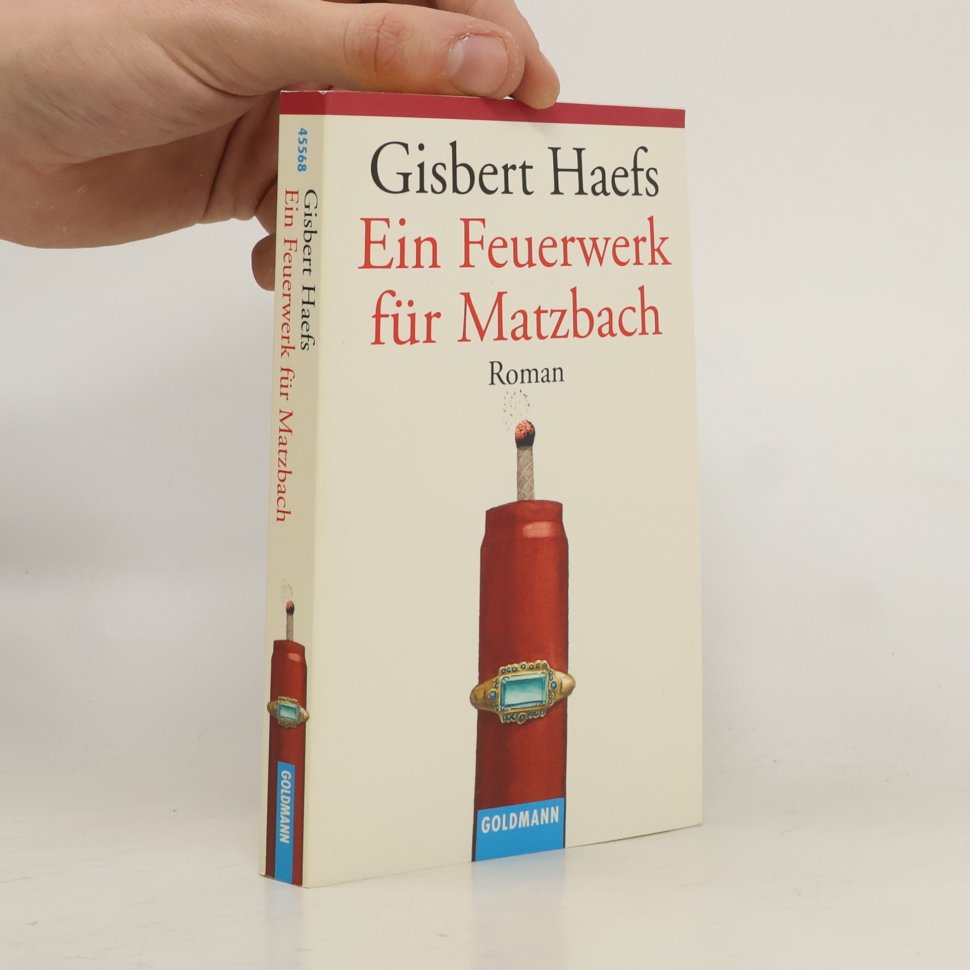 Gisbert Haefs Ein Feuerwerk für Matzbach