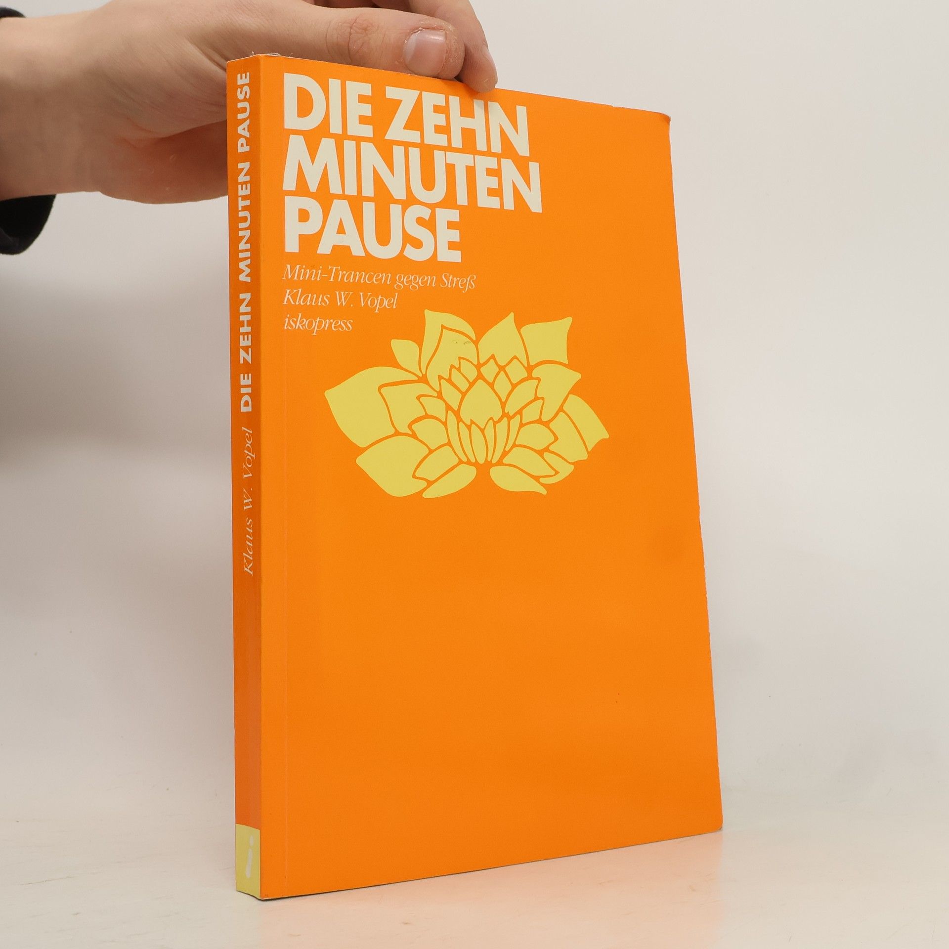 Klaus W. Vopel Die 10-Minuten-Pause