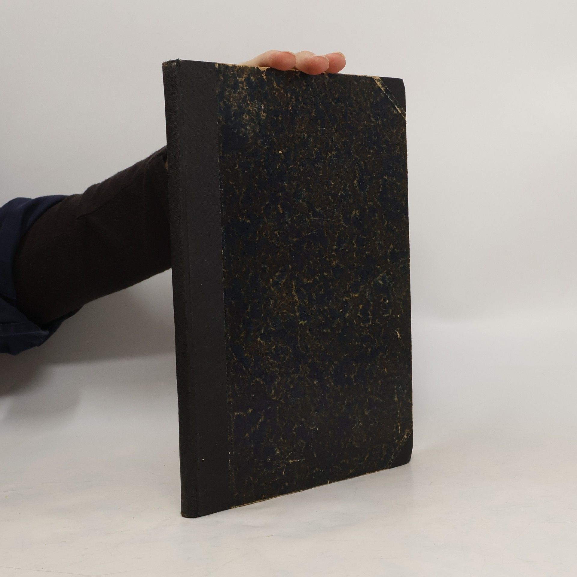 Kolektiv autorů Milotický hospodář 1918