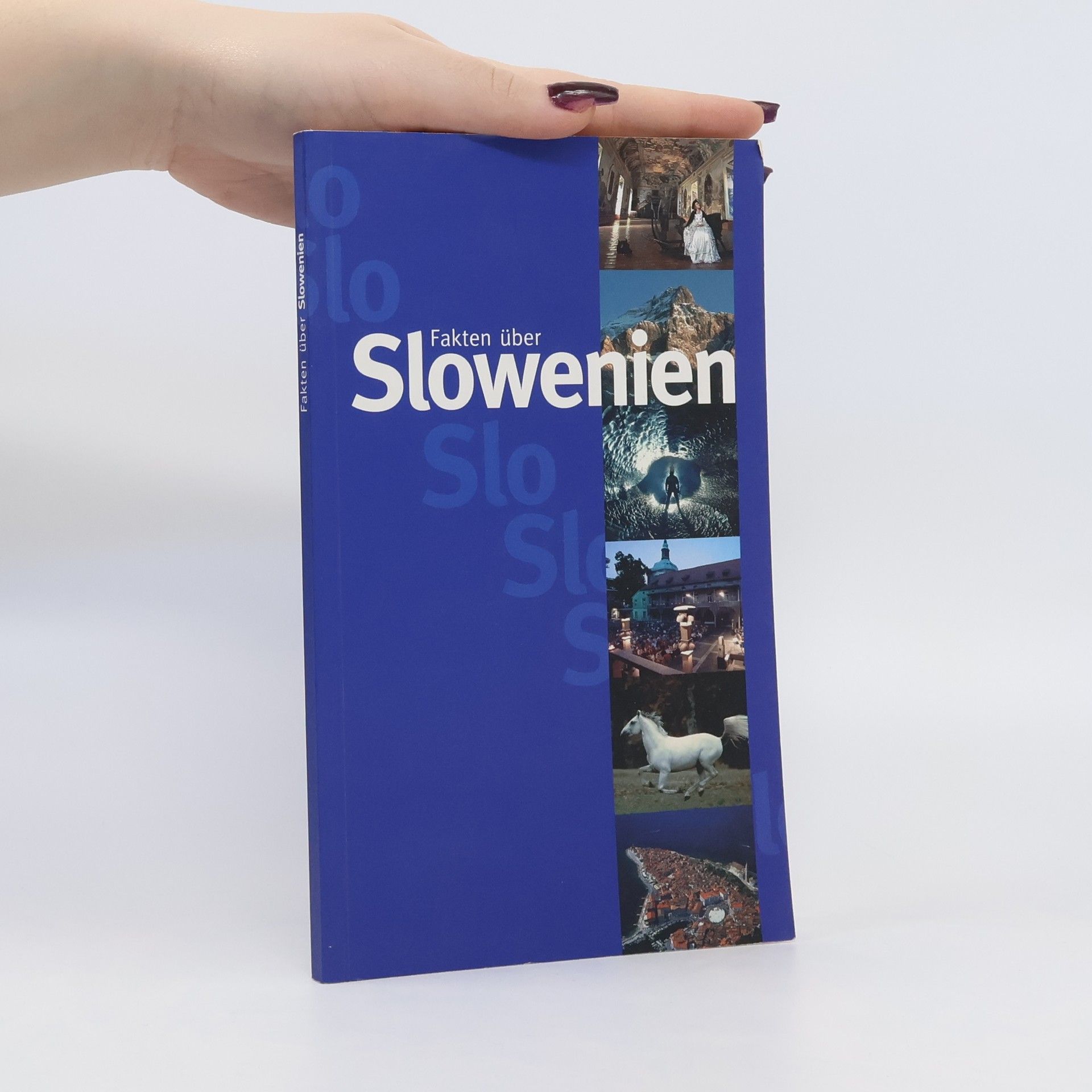 Autorenkollektiv Fakten über Slowenien
