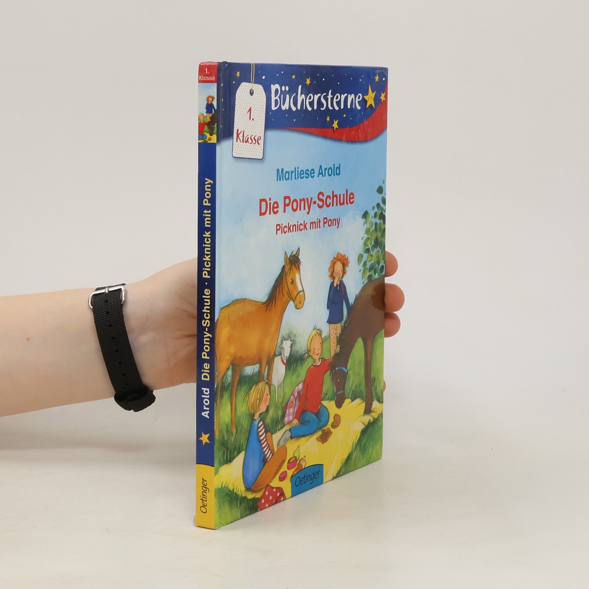 Marliese Arold Die Pony-Schule: Picknick mit Pony