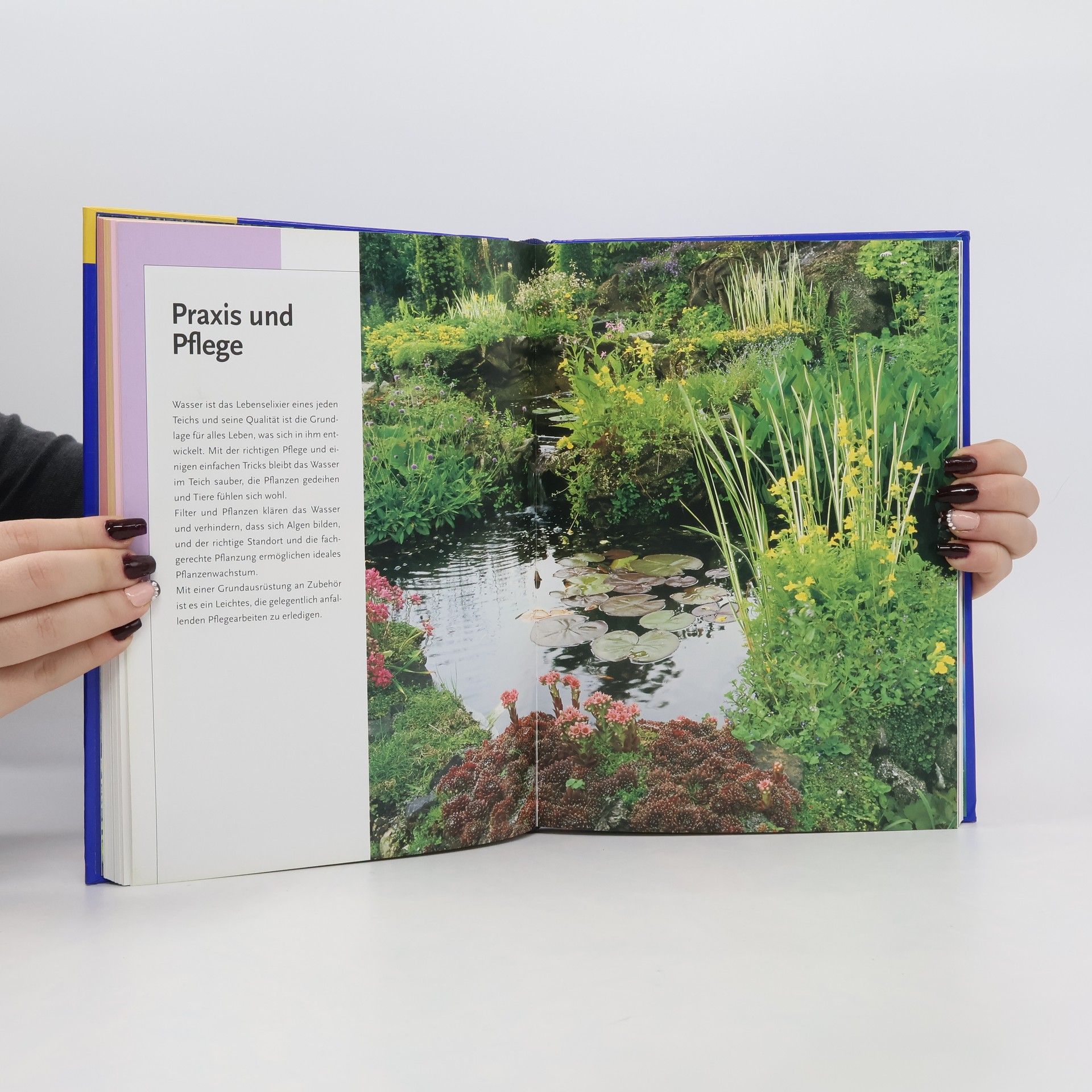 Hans-Peter Beck-Bornholdt Das Kosmos-Handbuch Garten-Teiche