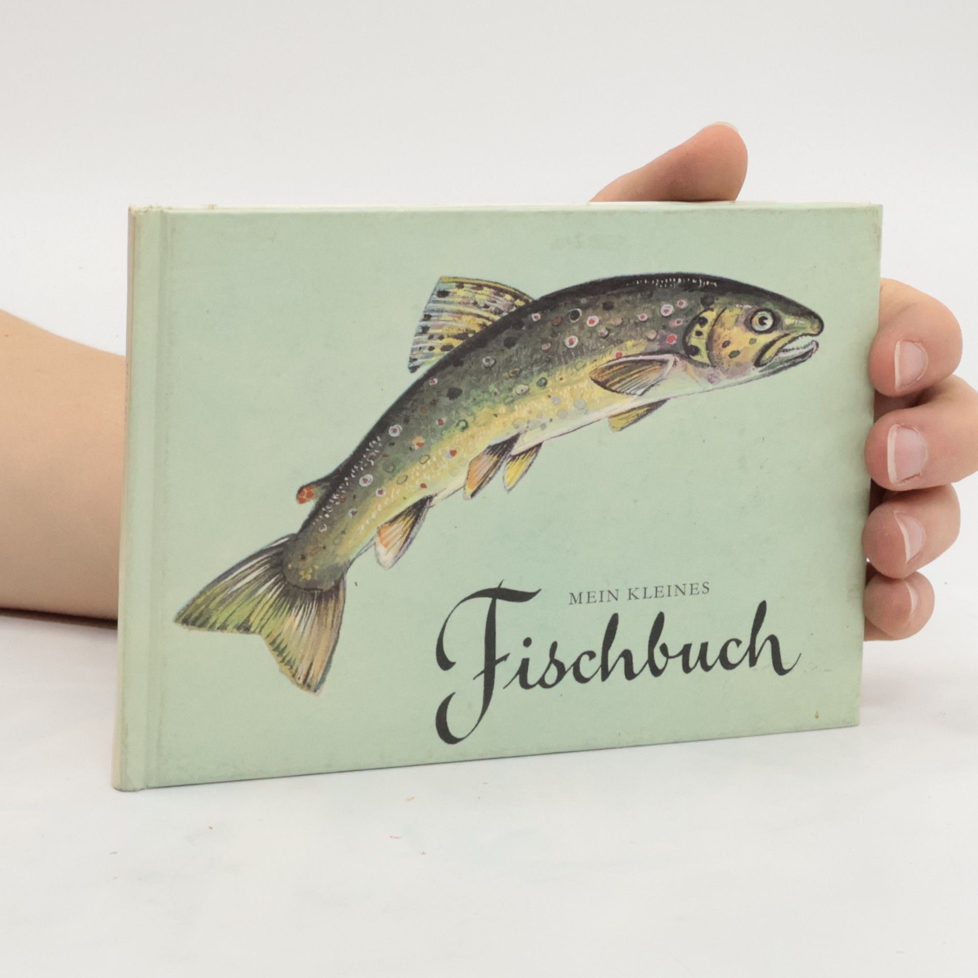 Autorenkollektiv Mein kleines Fischbuch
