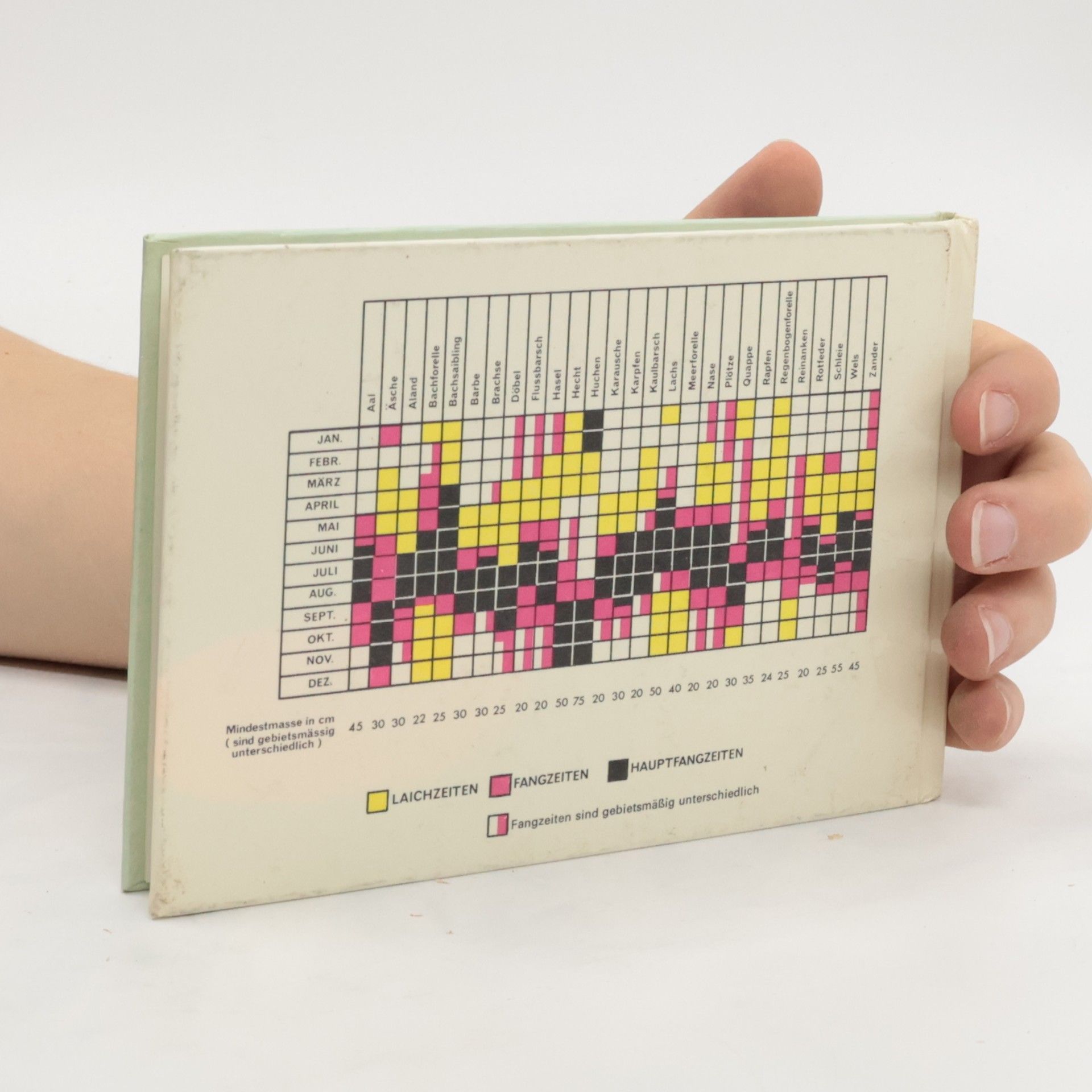 Collectif d'auteurs Mein kleines Fischbuch