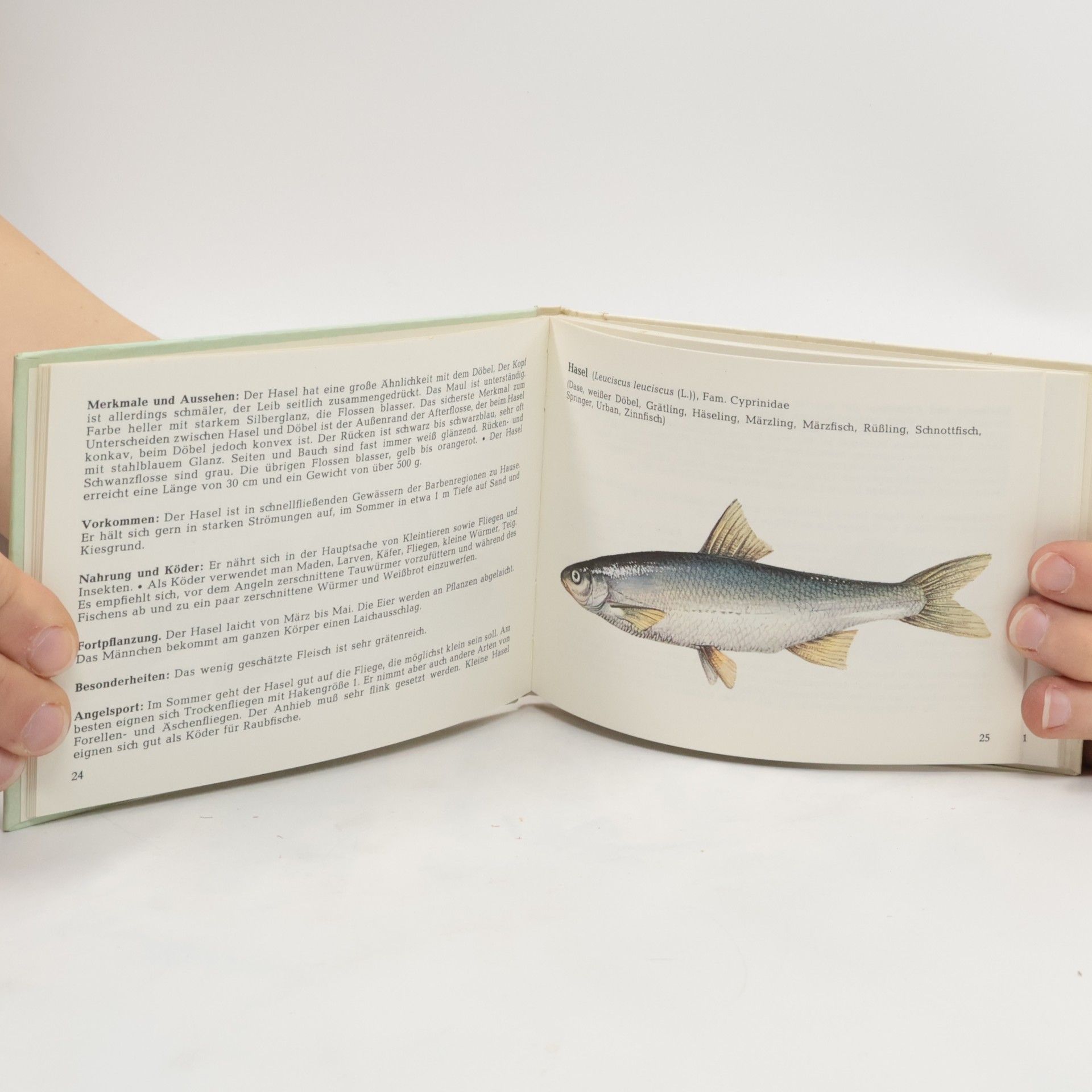 Collectif d'auteurs Mein kleines Fischbuch