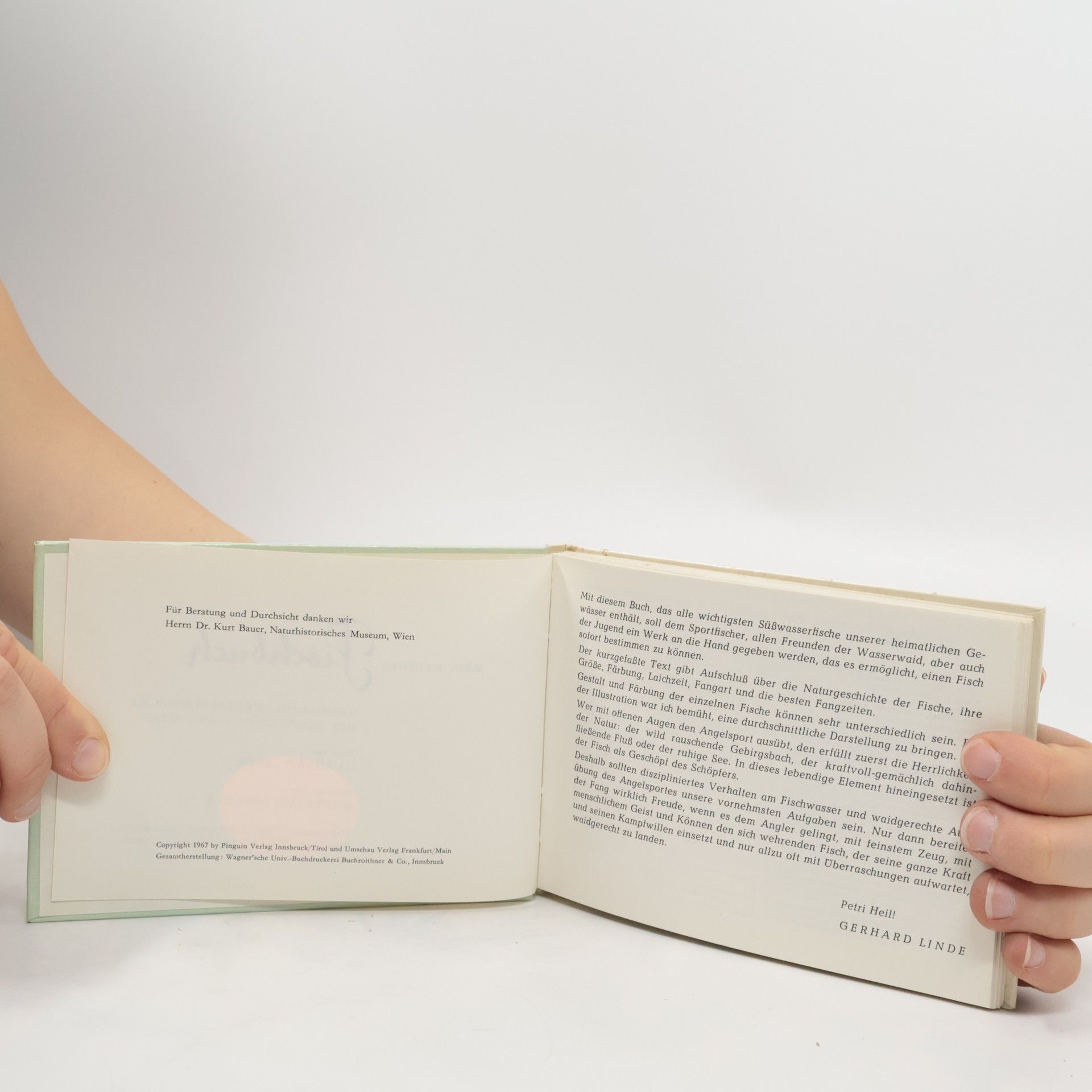 Collectif d'auteurs Mein kleines Fischbuch