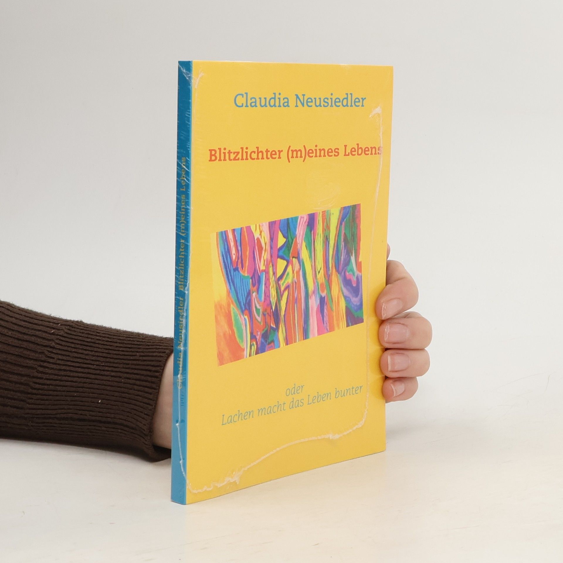 Claudia Neusiedler Blitzlichter (m)eines Lebens