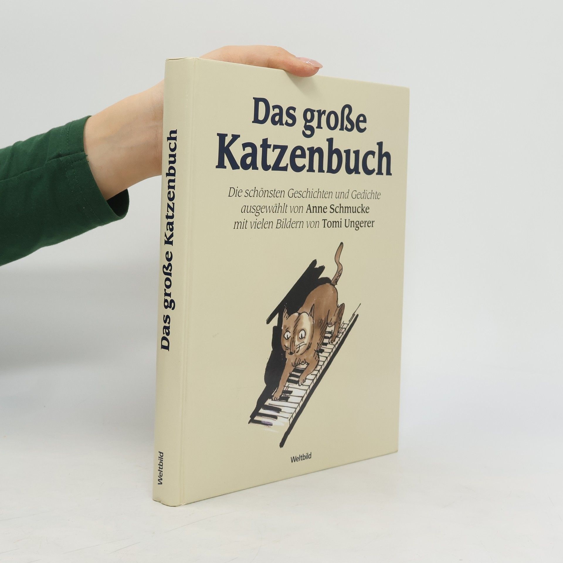 Anne Schmucke Das große Katzenbuch