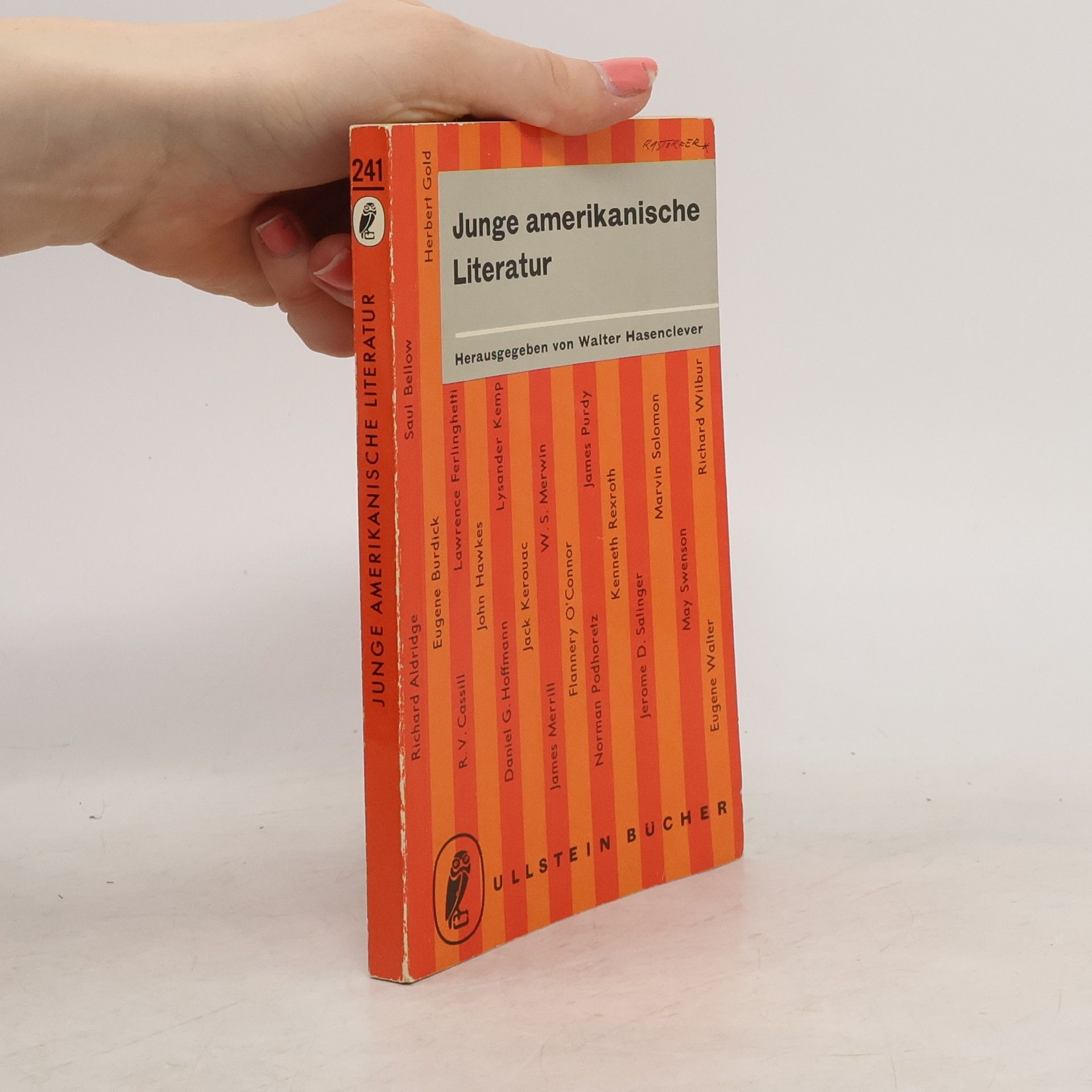 Collectif d'auteurs Junge amerikanische Literatur