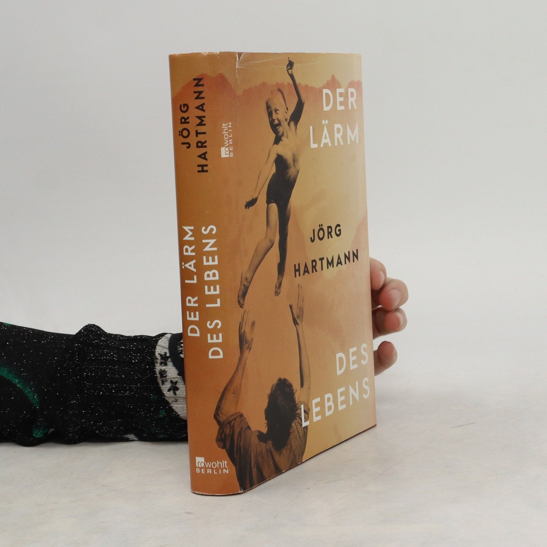 Jörg Hartmann Der Lärm des Lebens