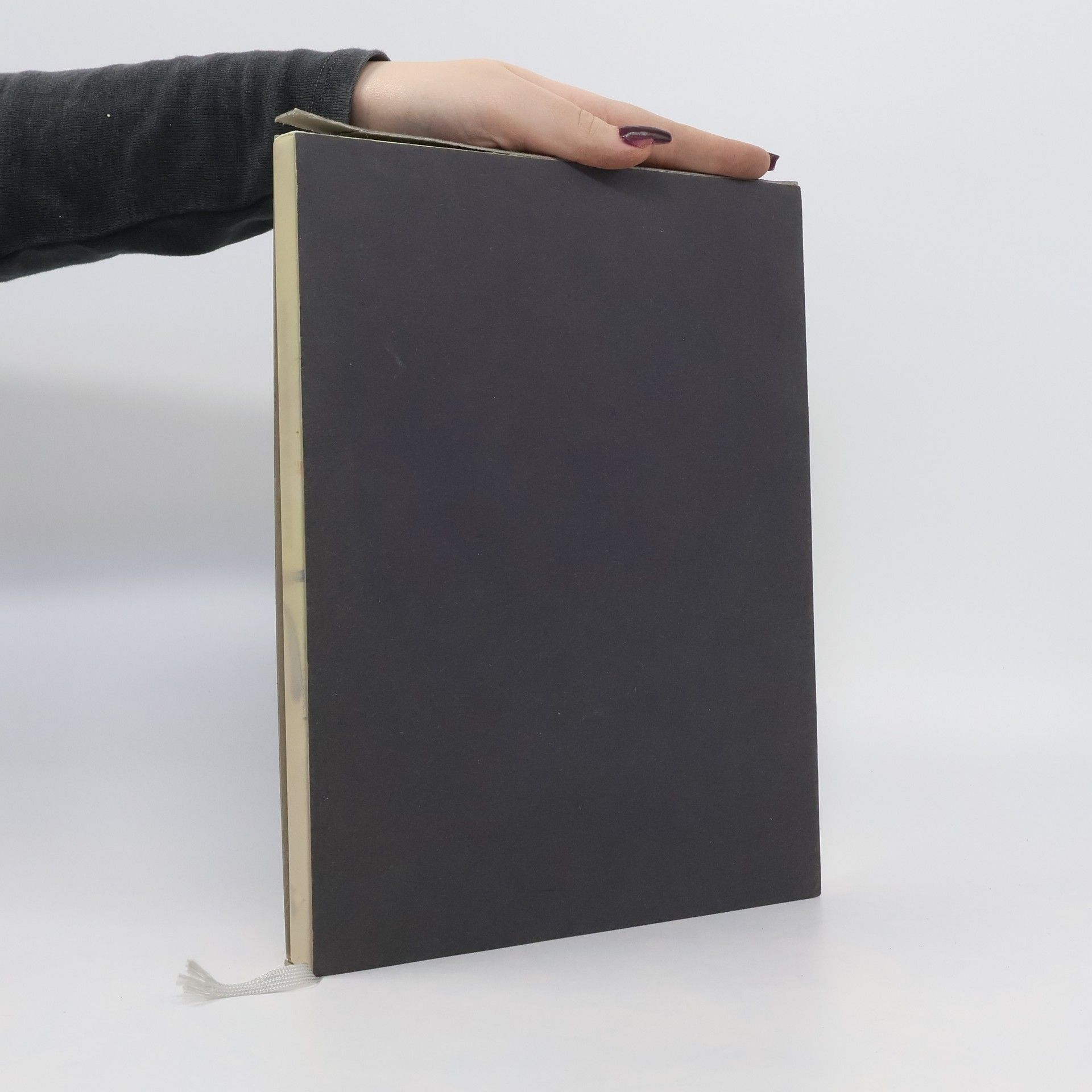 Collectif d'auteurs Das Buch der Frankfurter Buchmesse