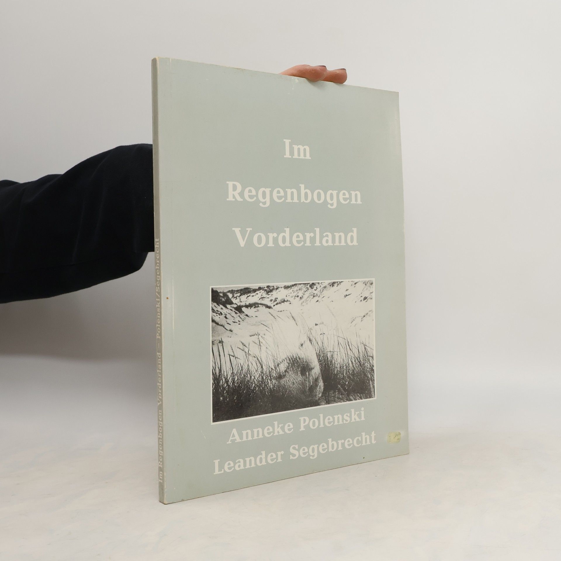 Anneke Polenski Im Regenbogen-Vorderland