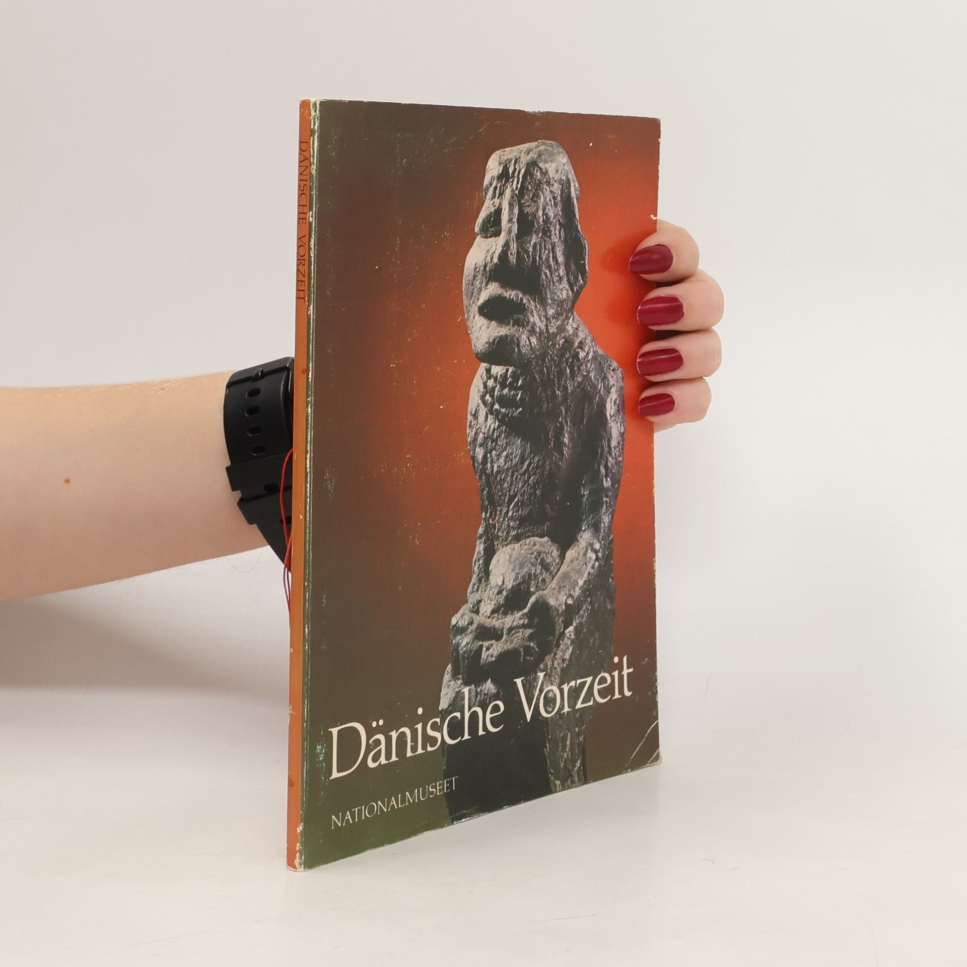 Collectif d'auteurs Dänische Vorzeit