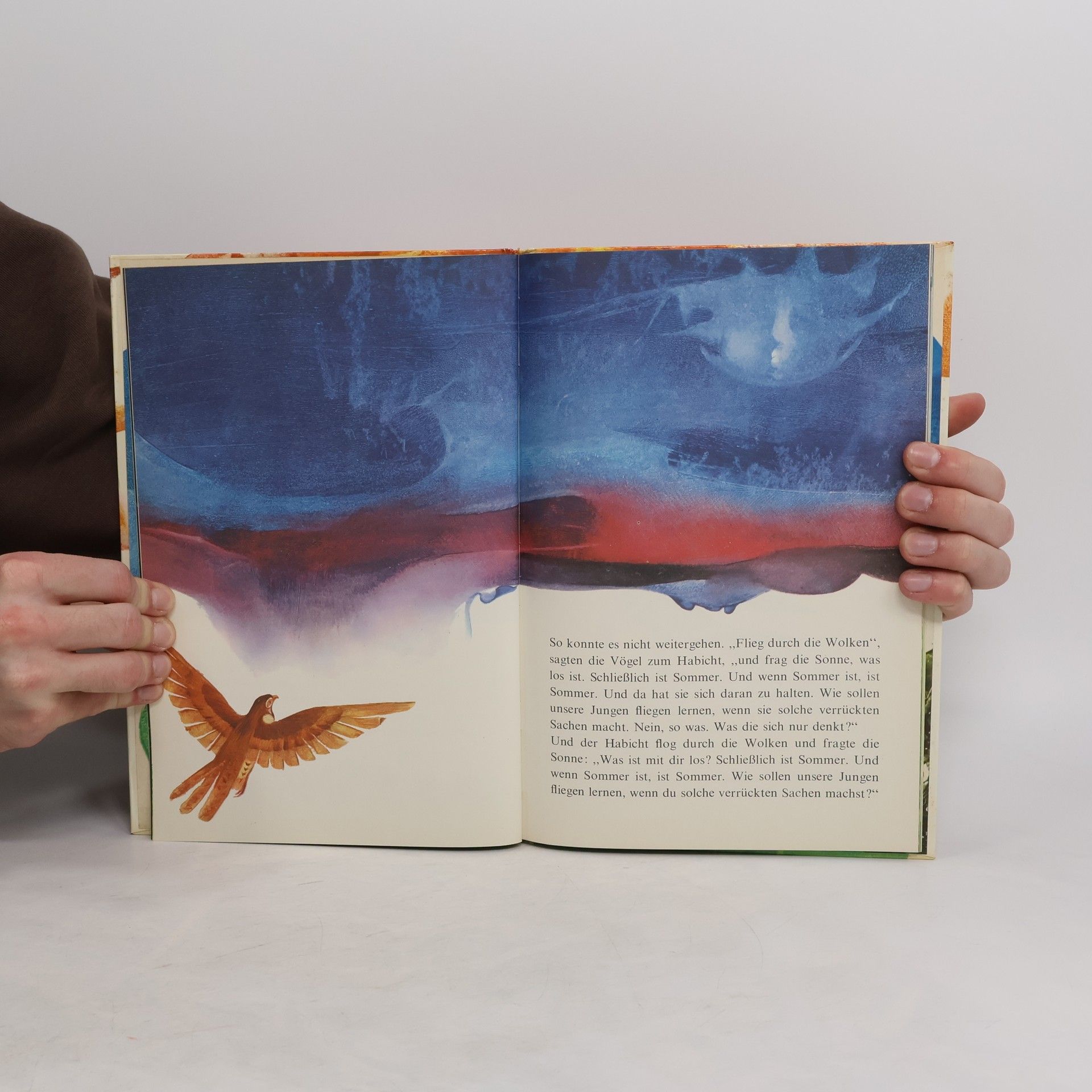 Werner Heiduczek Der kleine häßliche Vogel