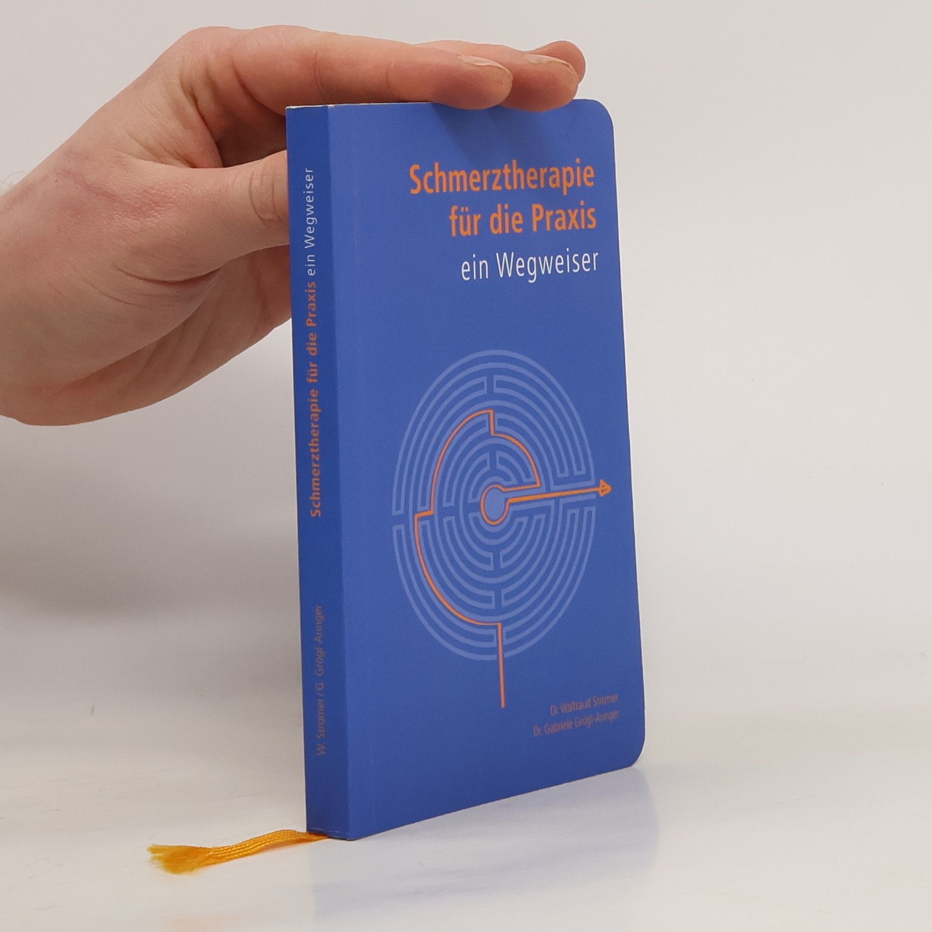 Waltraud Stromer Schmerztherapie für die Praxis. Ein Wegweiser