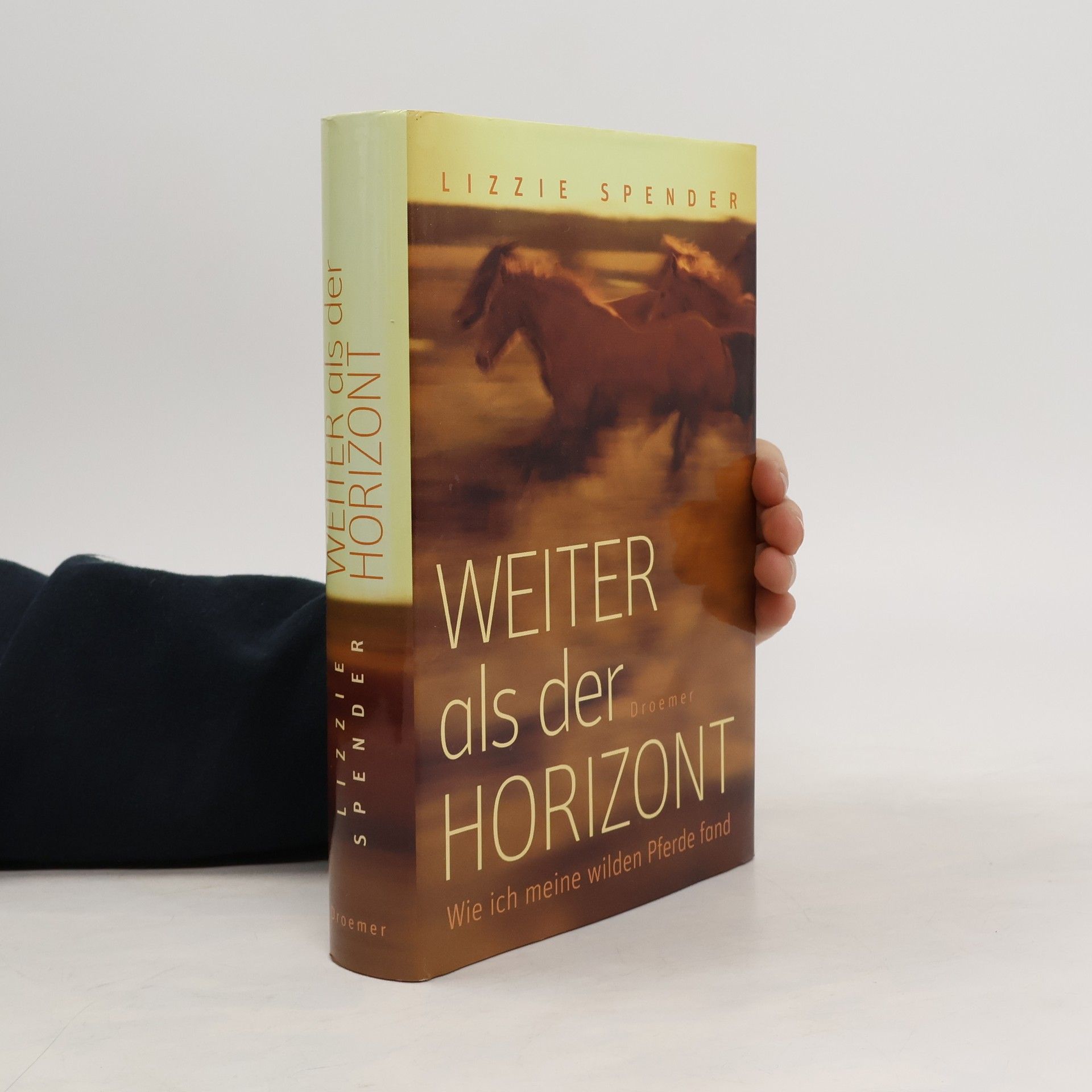 Lizzie Spender Weiter als der Horizont