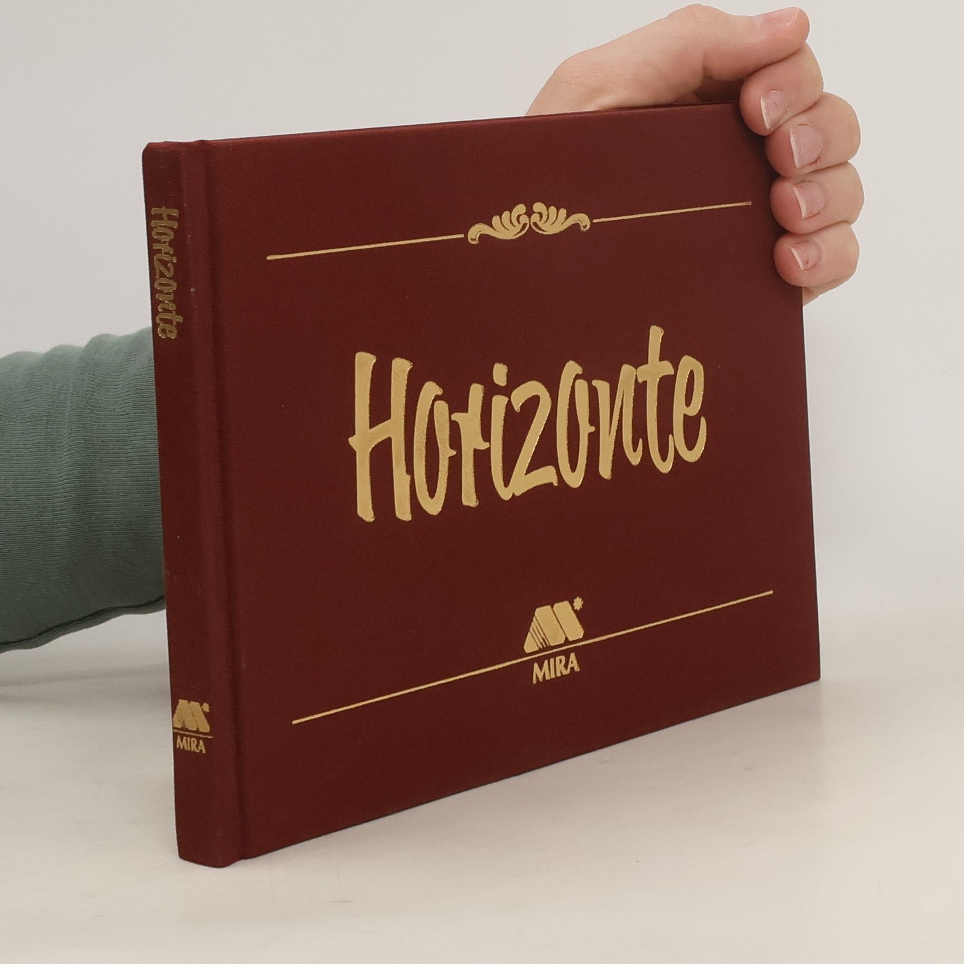 Collectif d'auteurs Horizonte