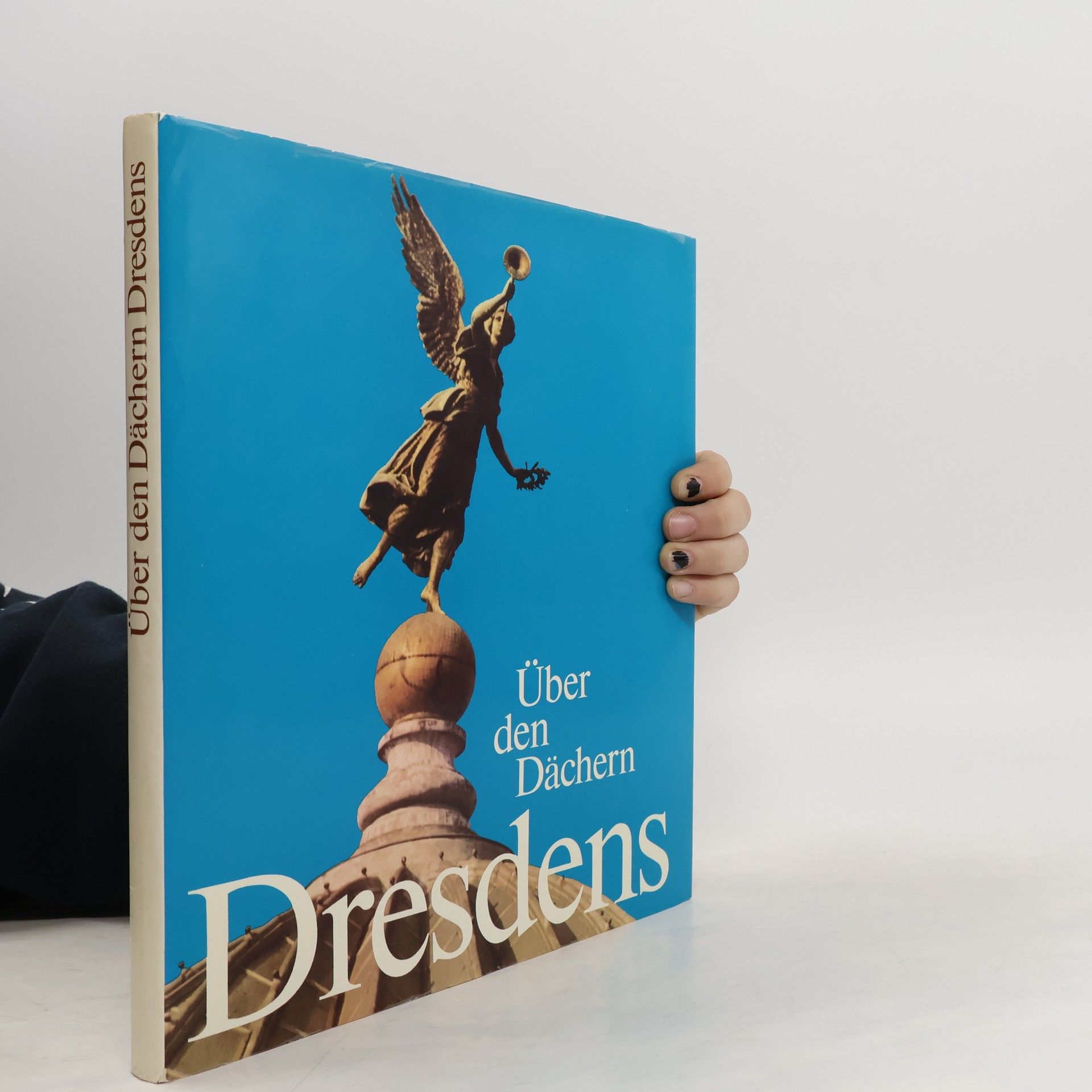 Arno Helzel Über den Dächern Dresdens