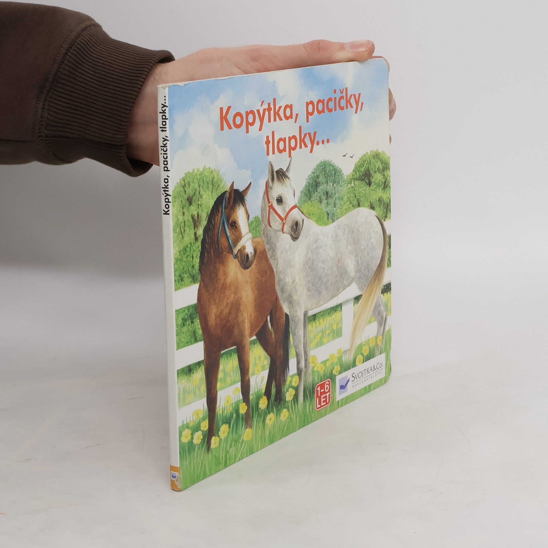 Autorenkollektiv Kopýtka, pacičky, tlapky...