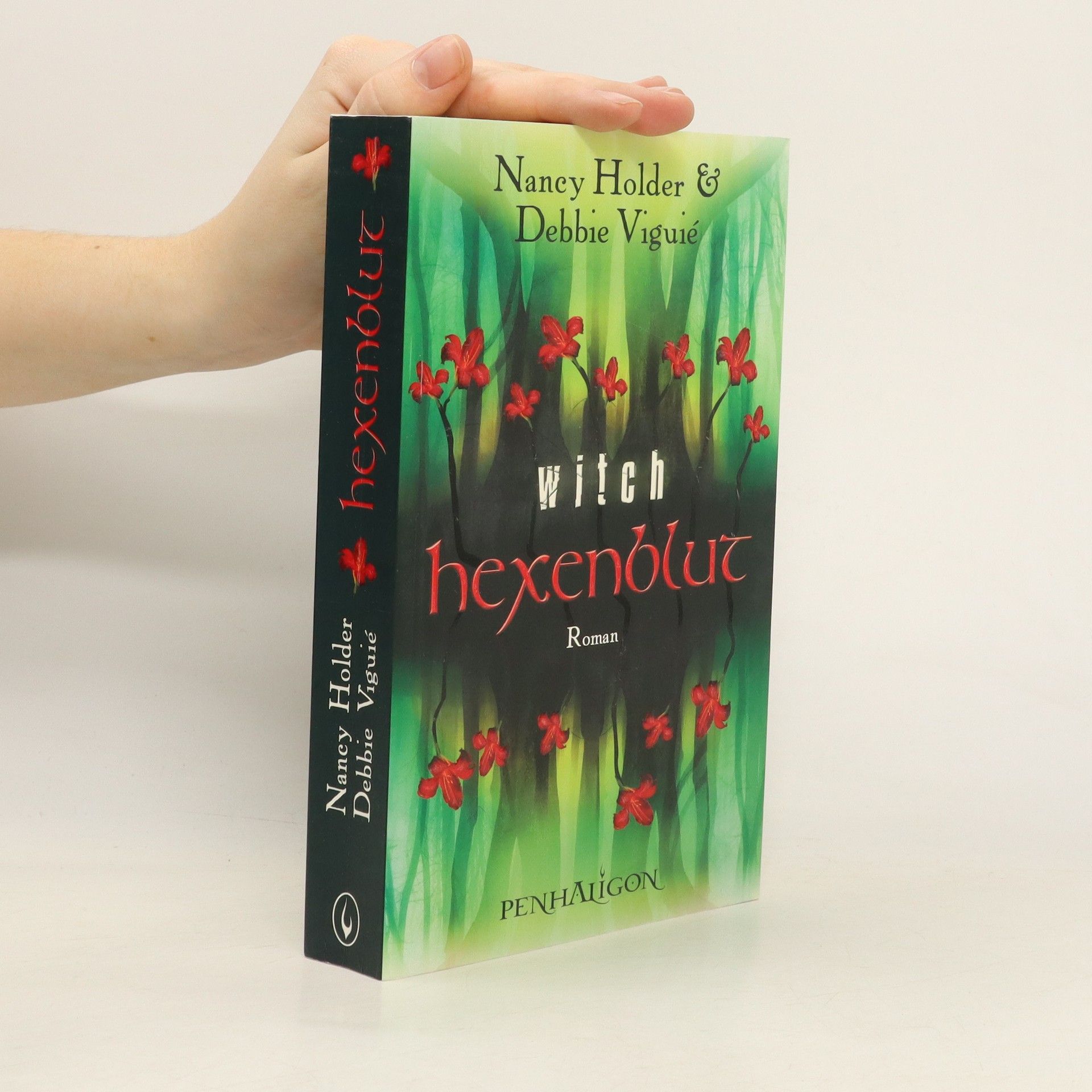 Debbie Viguié Witch Hexenblut