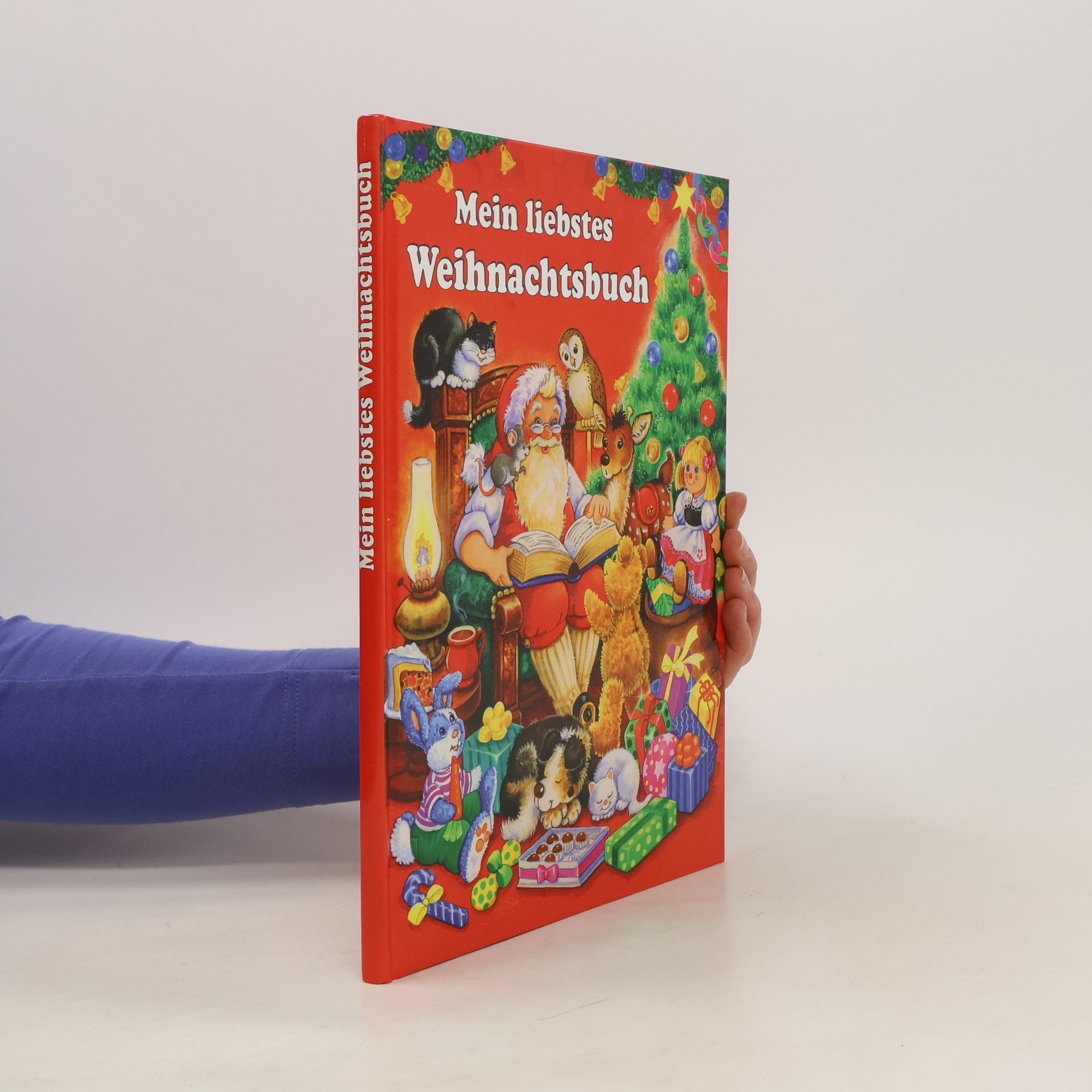 Autorenkollektiv Mein liebstes Weihnachtsbuch