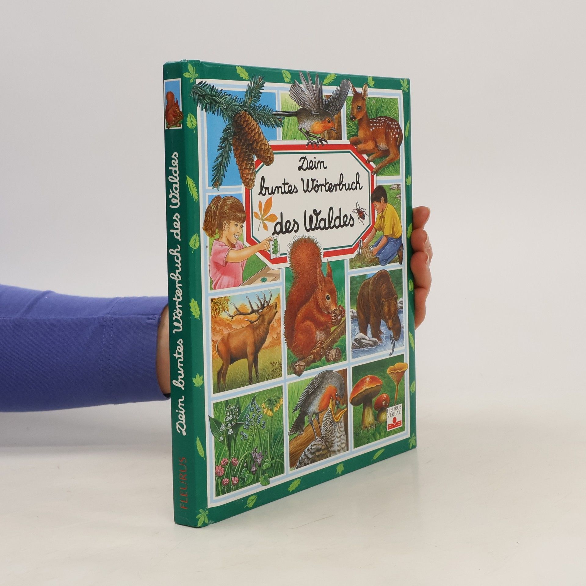 kolektiv Dein buntes Wörterbuch des Waldes