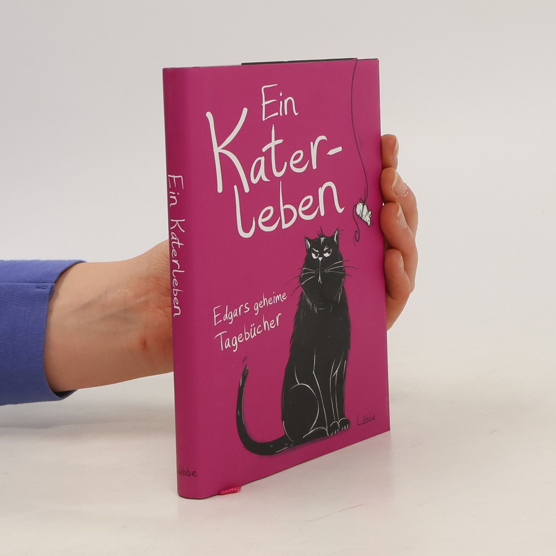 Frédéric Pouhier Ein Katerleben