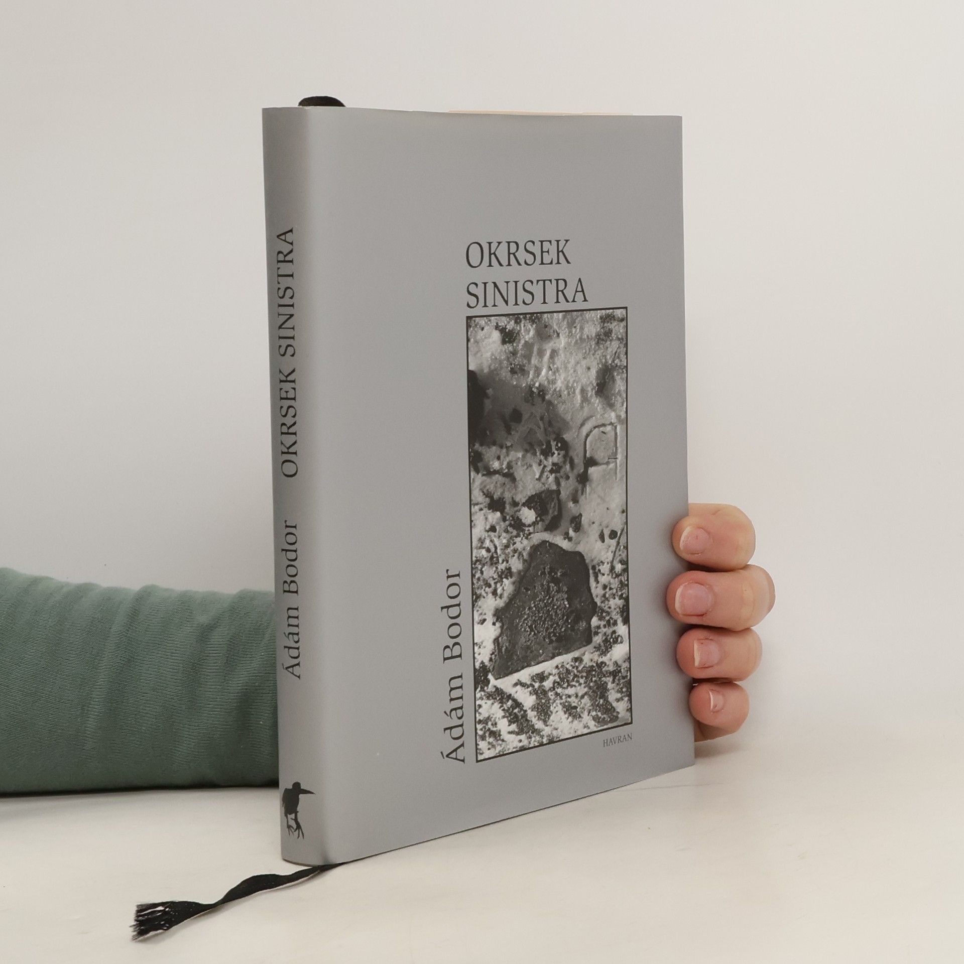 Ádám Bodor Okrsek Sinistra