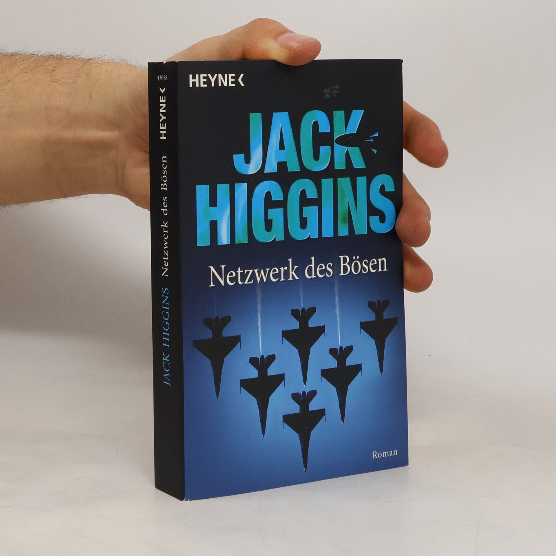 Jack Higgins Netzwerk des Bösen