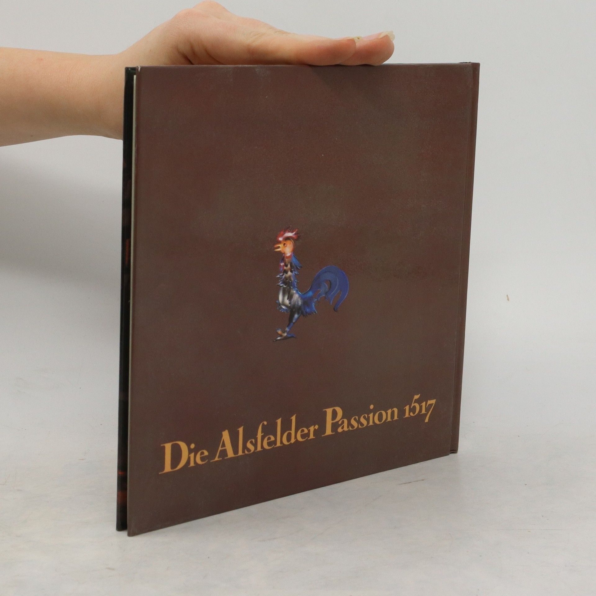 kolektiv Die Alsfelder Passion 1517