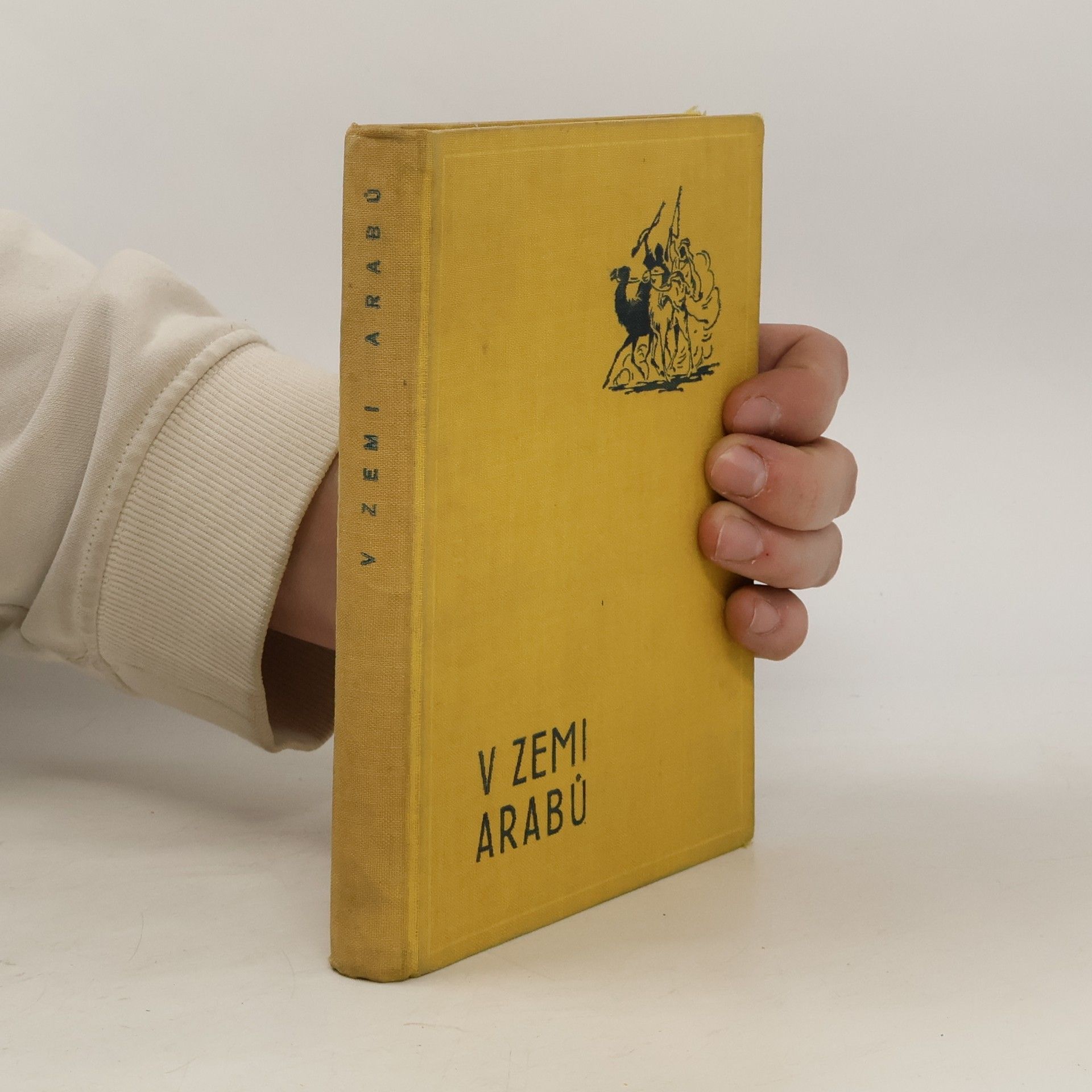 Robert Harding V zemi Arabů