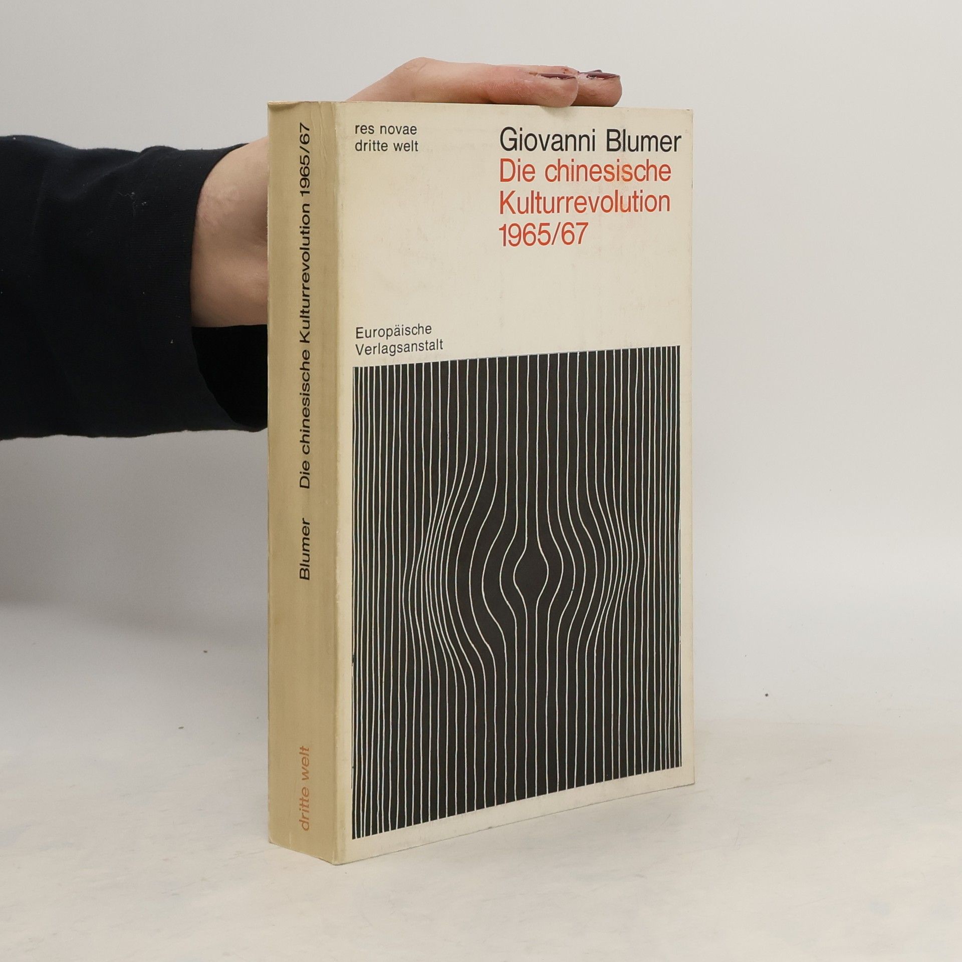 Giovanni Blumer Die chinesische Kulturrevolution 1965/67