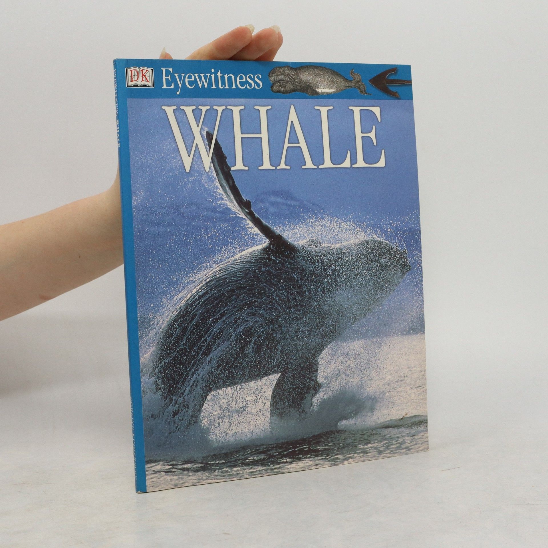 kolektiv Whale