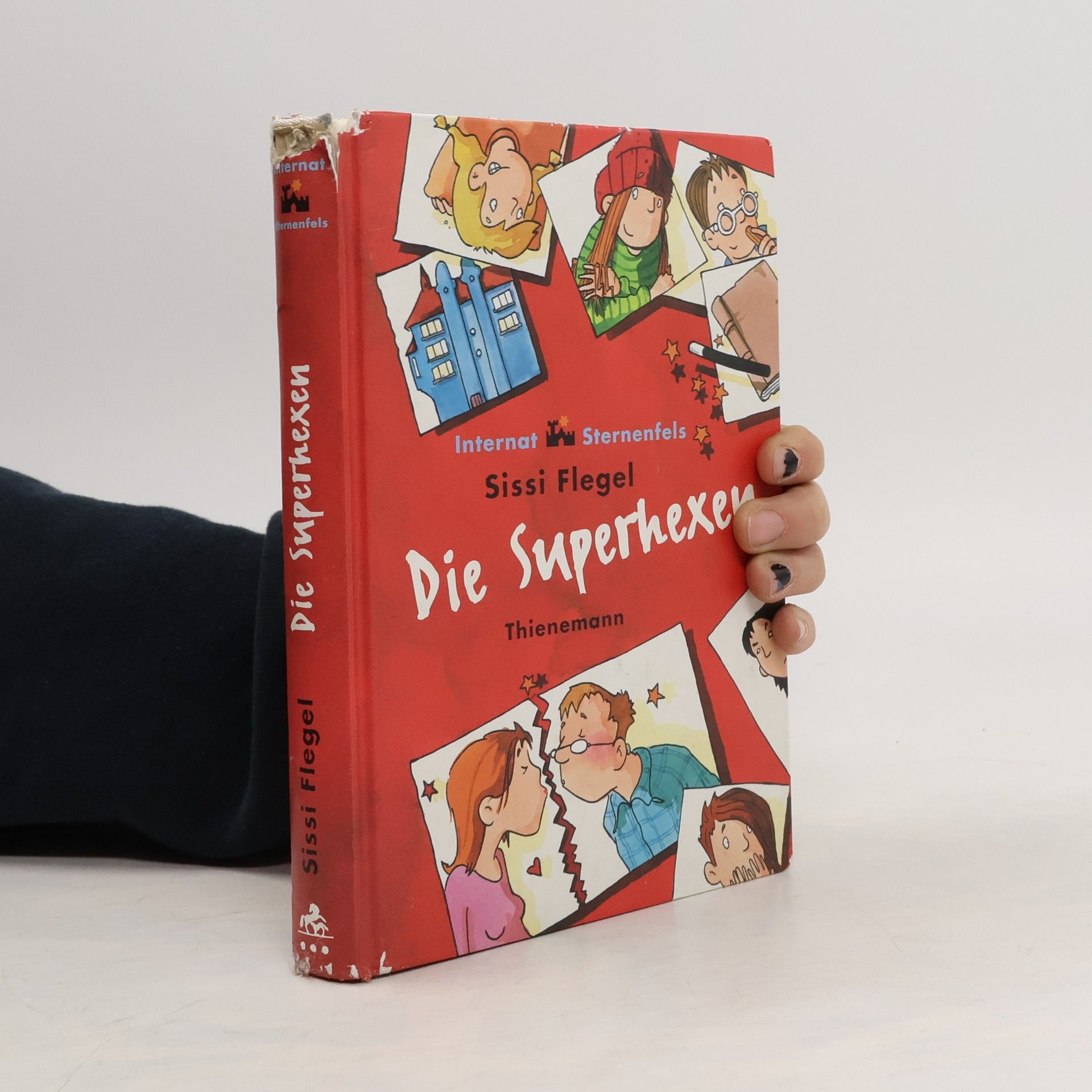 Sissi Flegel Internat Sternenfels. Die Superhexen.