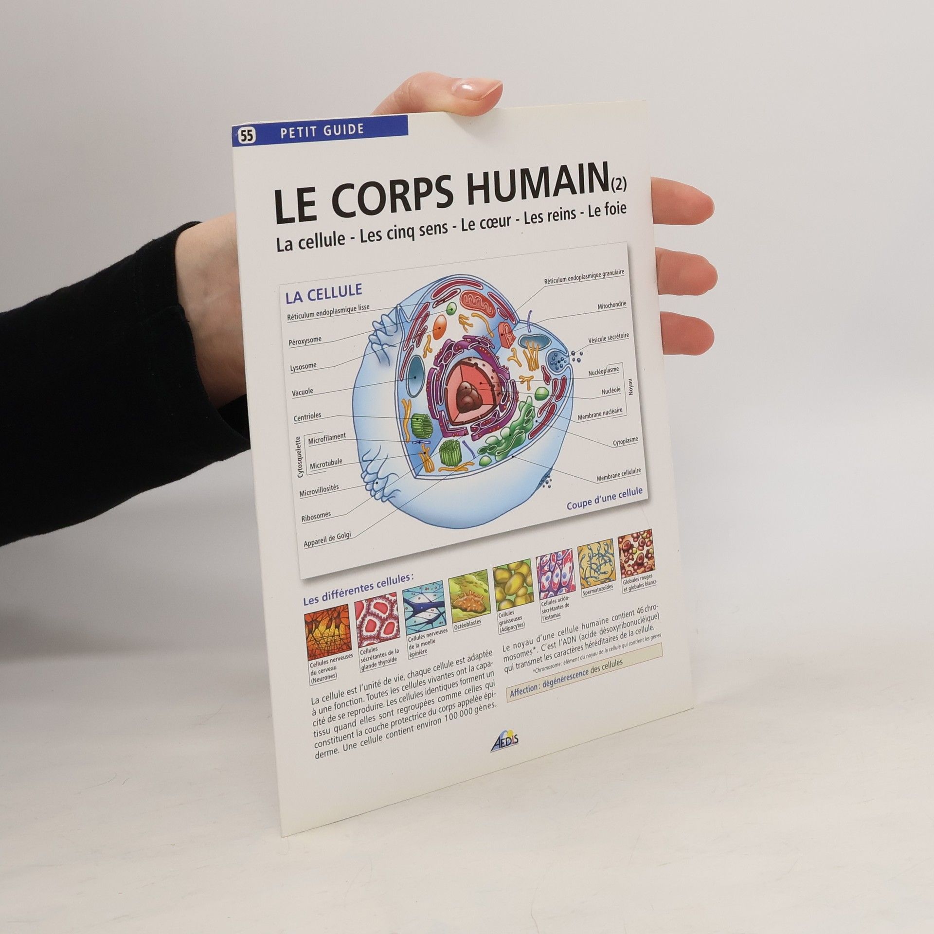 Henri Medori Le corps humain