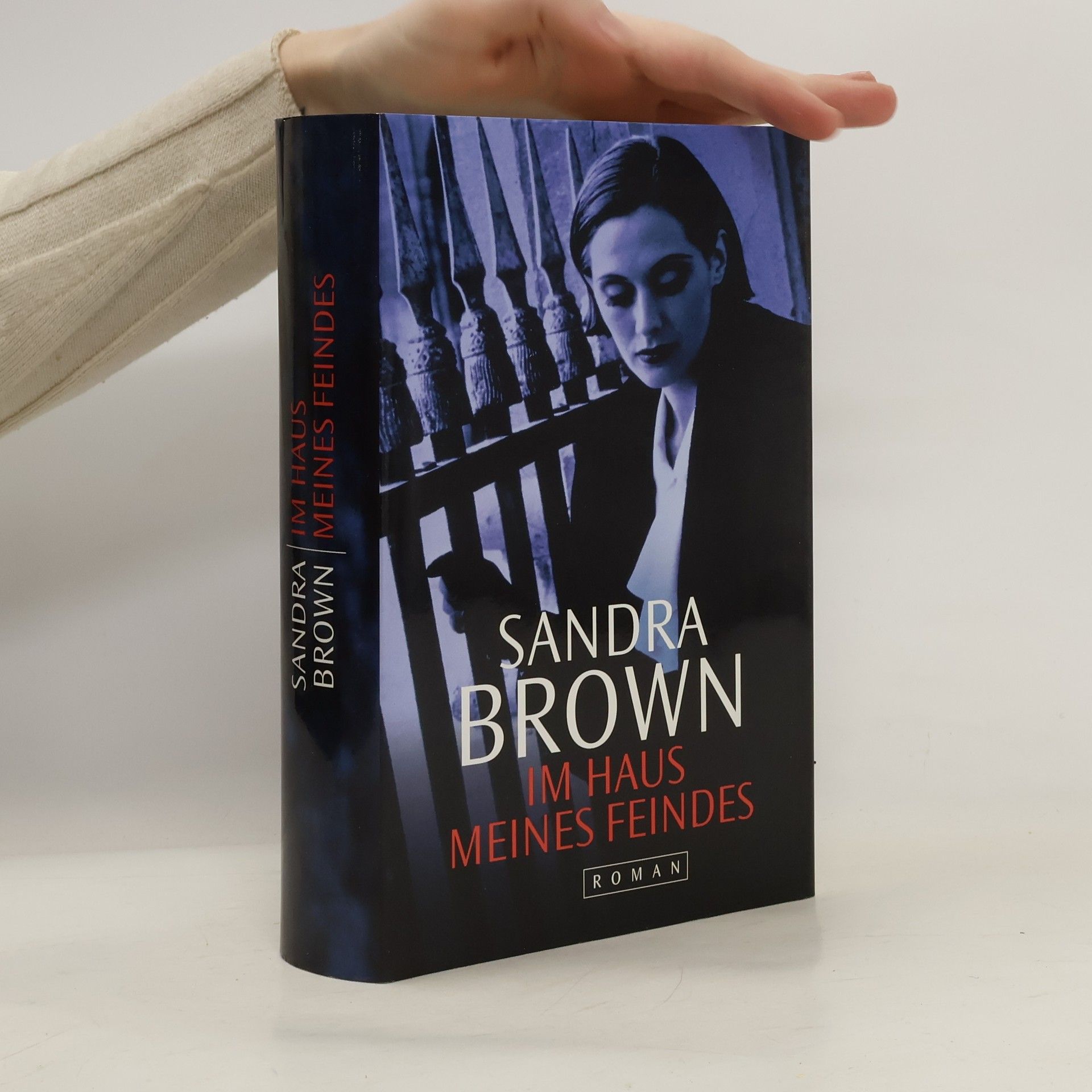 Sandra Brown Im Haus meines Feindes