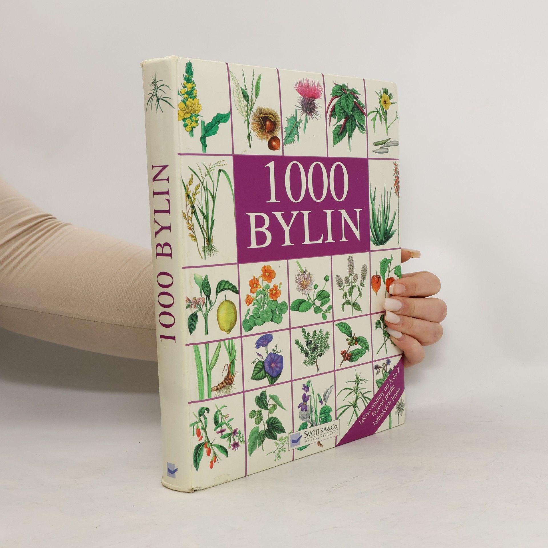 Collective 1000 bylin
