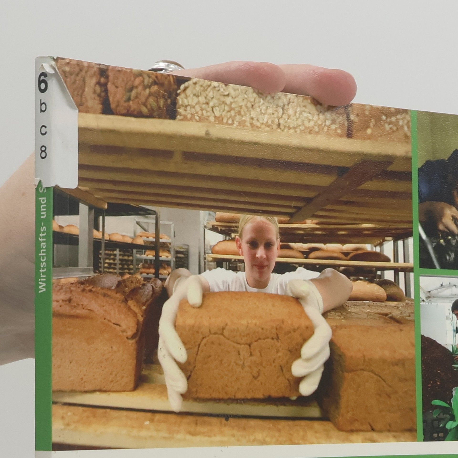 Olaf Ansorge Wirtschafts- und Sozialkunde