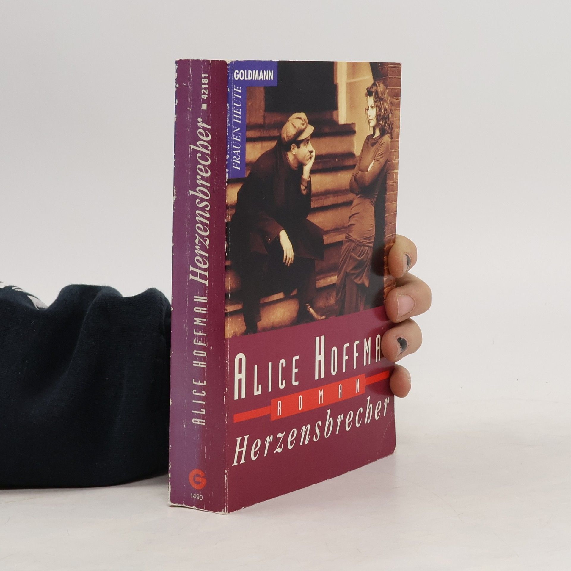 Alice Hoffmann Herzensbrecher