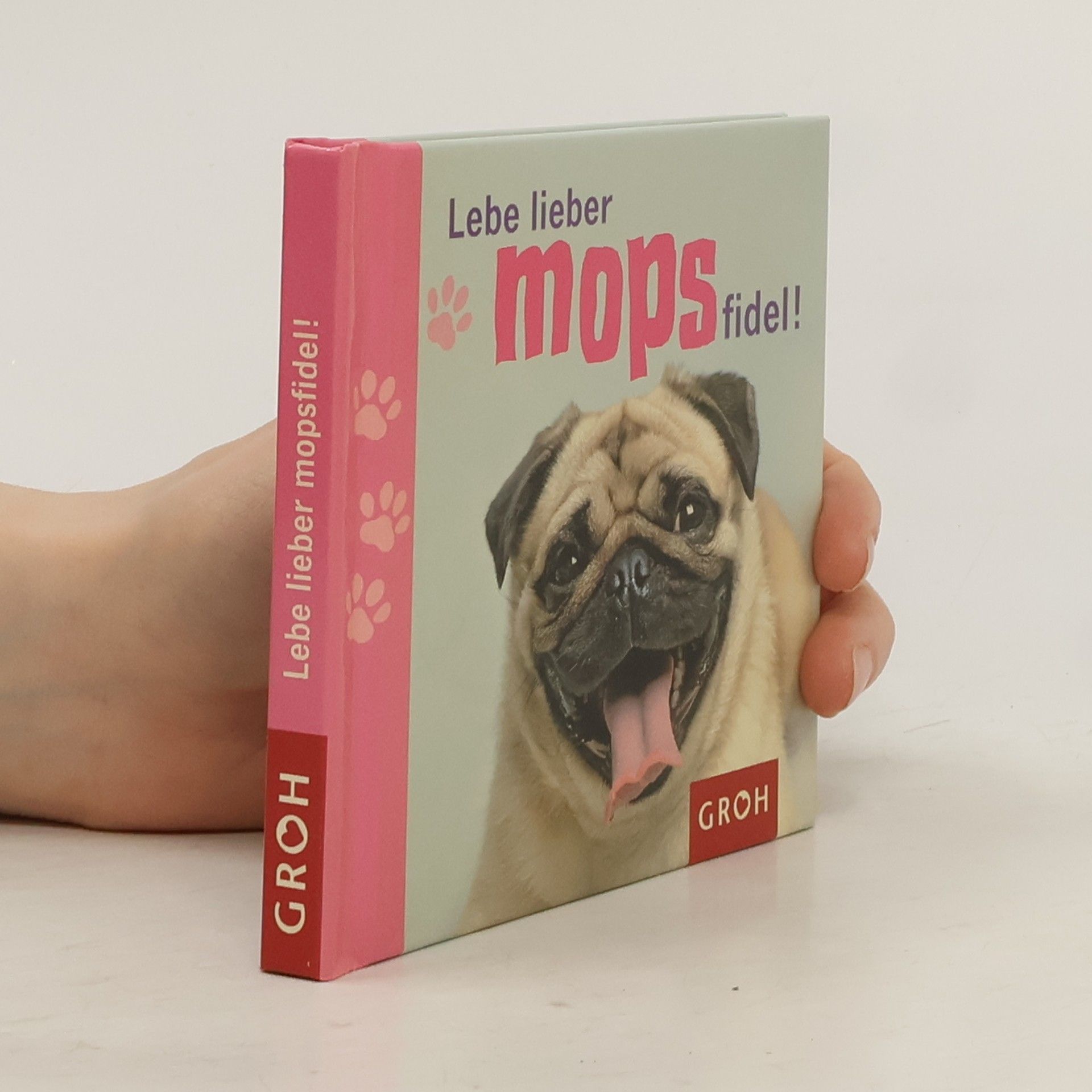 Klara Sophie Lechner Lebe lieber mopsfidel!